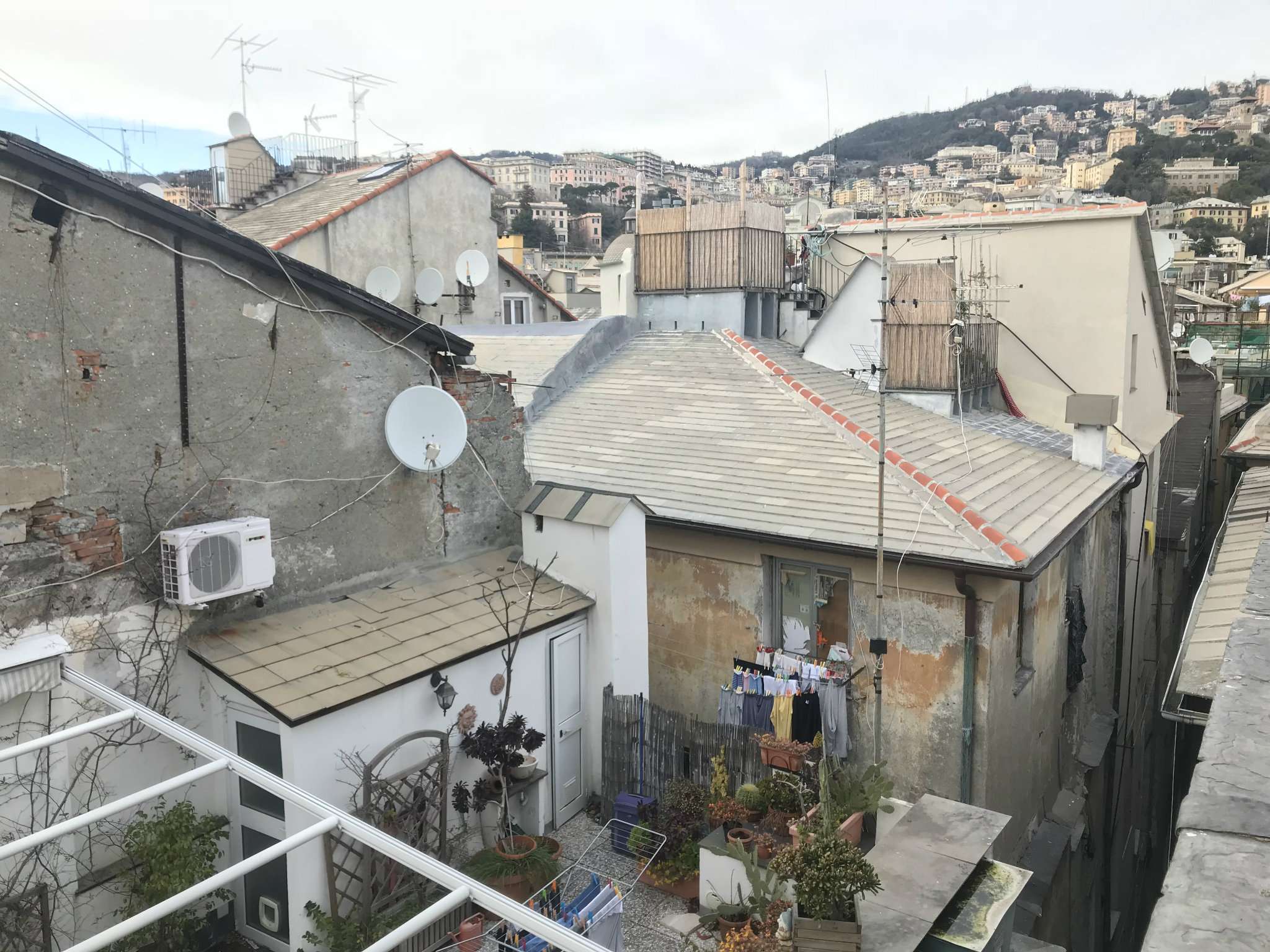  genova affitto quart: centro storico farinella immobiliare