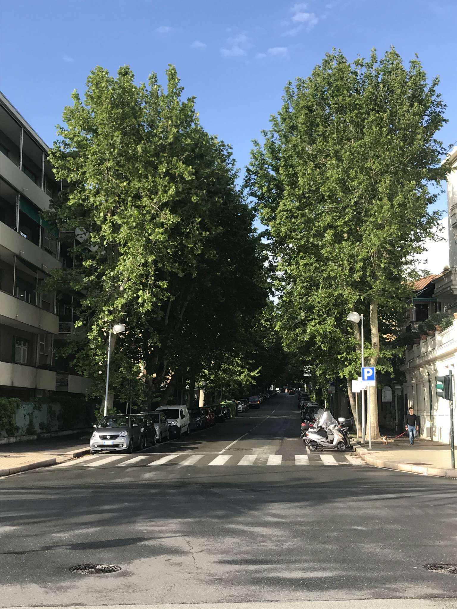 Appartamento GENOVA vendita  ALBARO Giordano Bruno Farinella Immobiliare