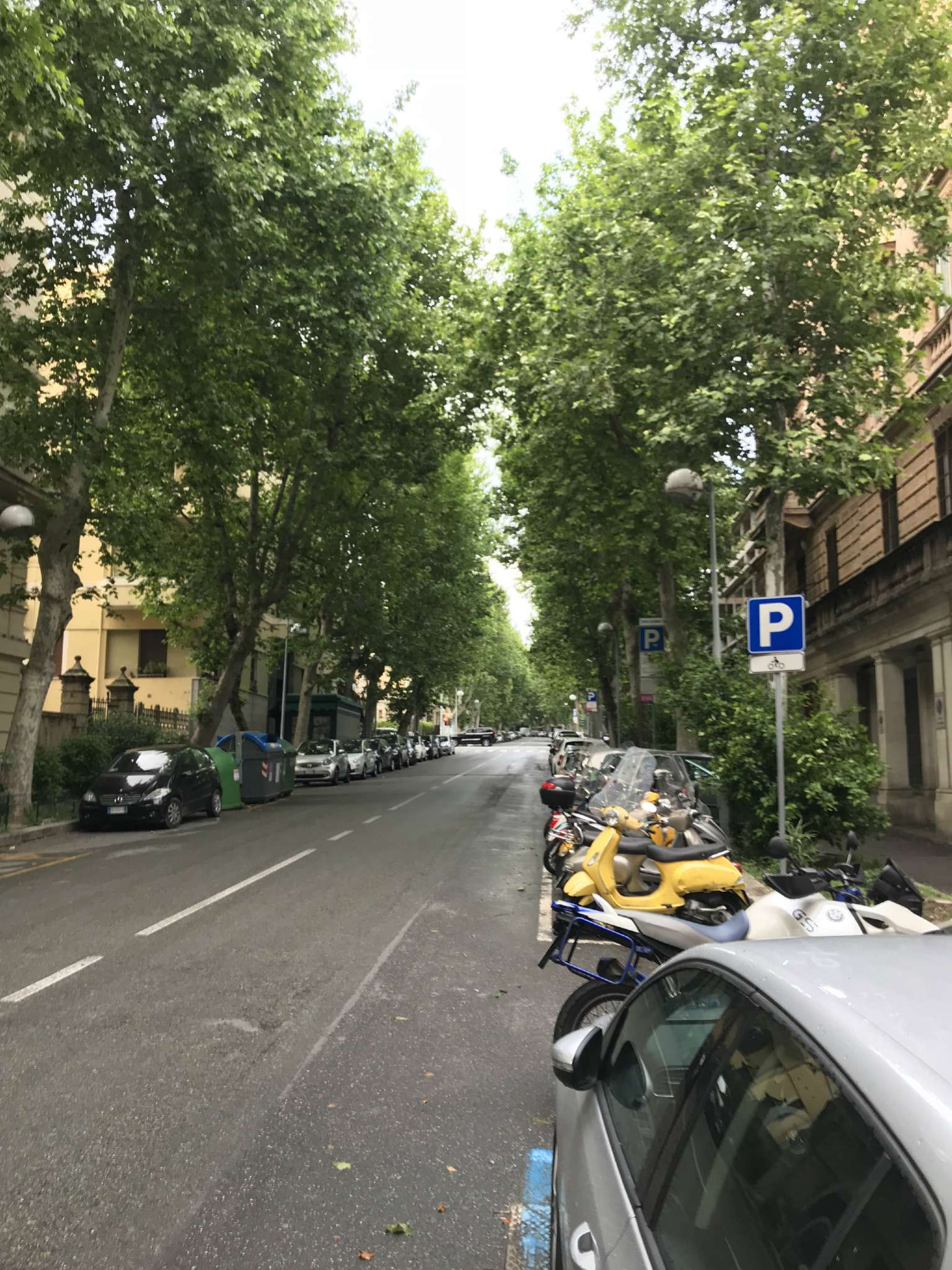 Appartamento GENOVA vendita  ALBARO Giordano Bruno Farinella Immobiliare
