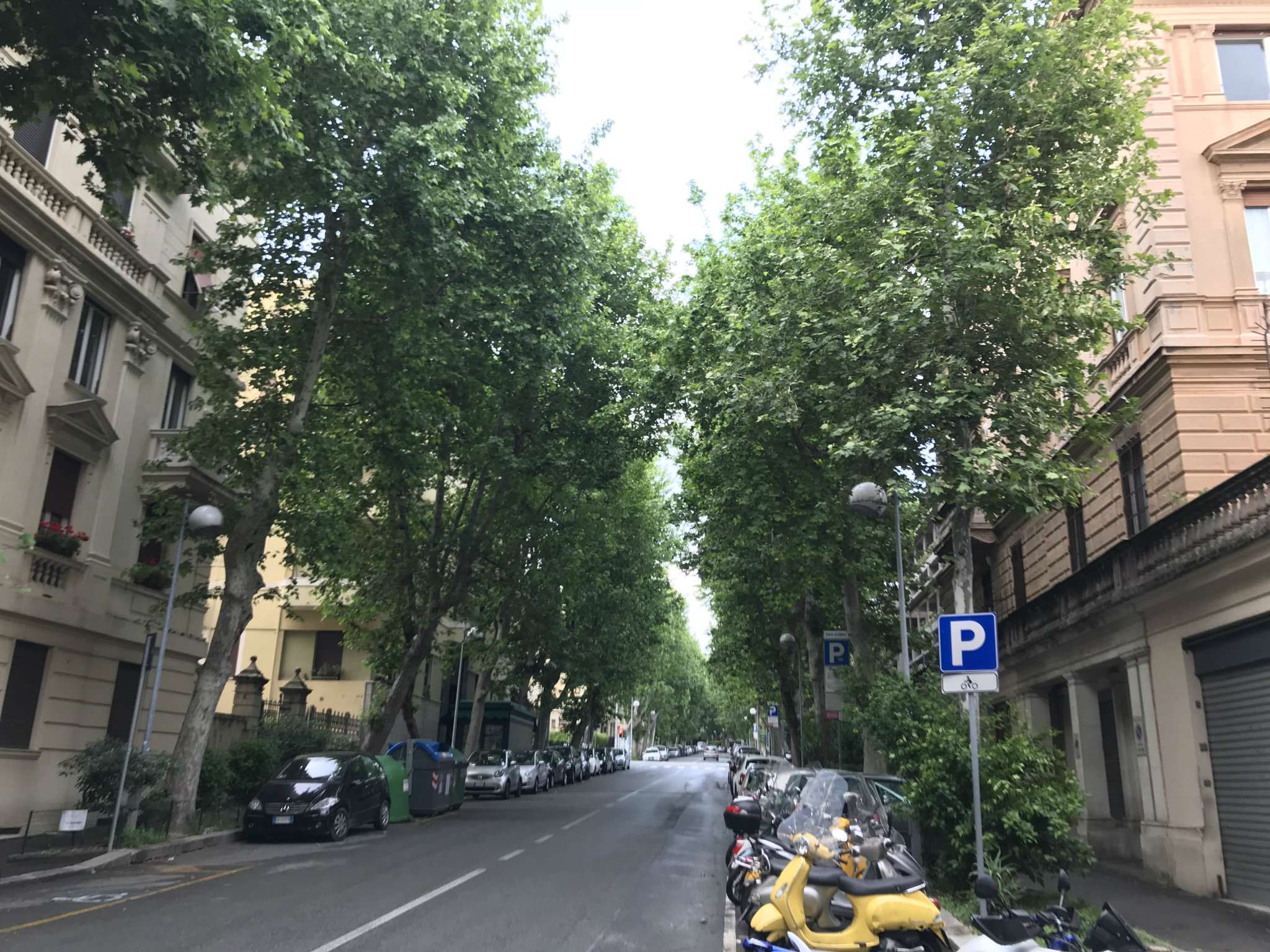 Appartamento GENOVA vendita  ALBARO Giordano Bruno Farinella Immobiliare