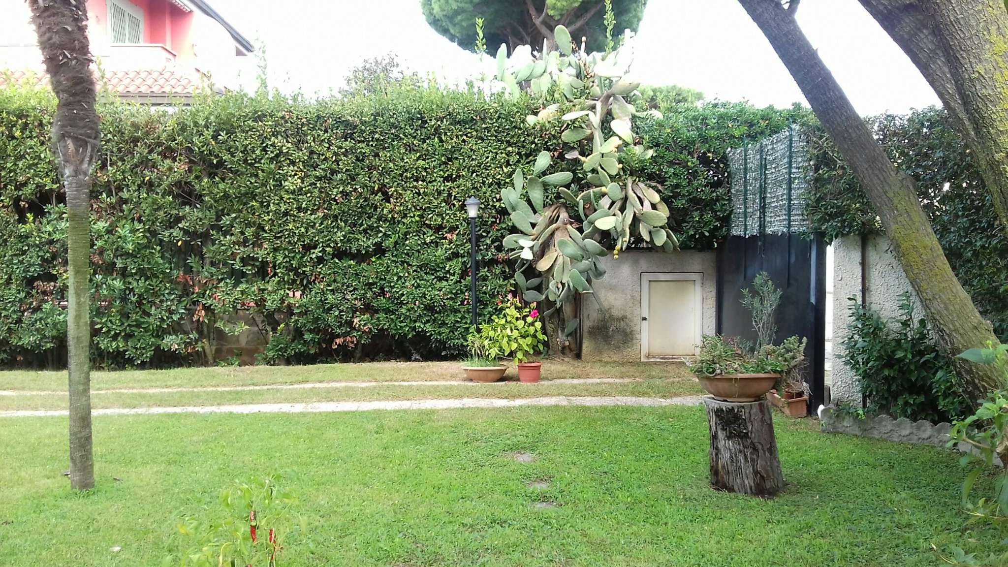 Villa Bifamiliare ANZIO vendita   dei Gelsomini Uno Holding