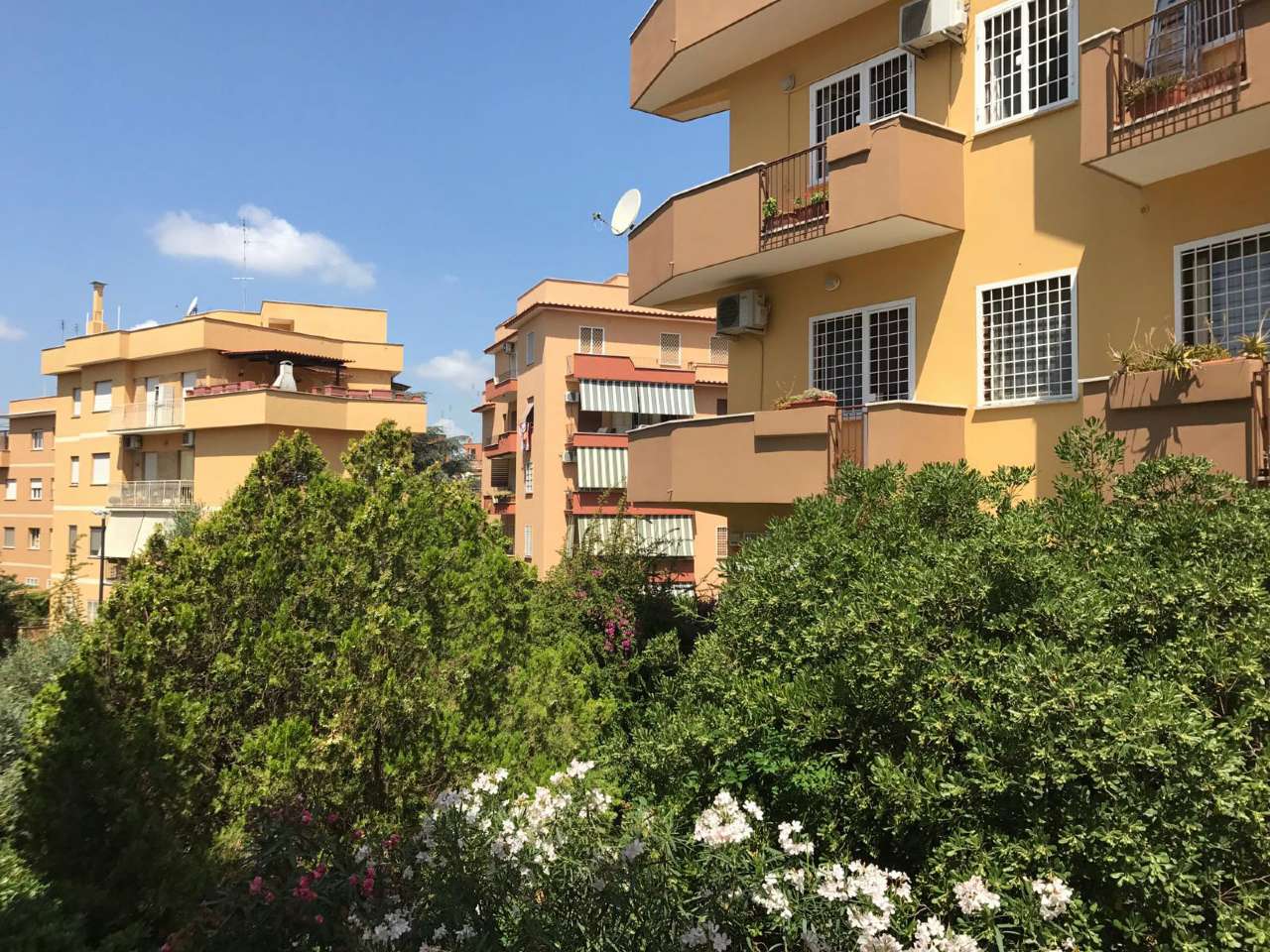 Appartamento ROMA vendita   Marco Atilio Uno Holding