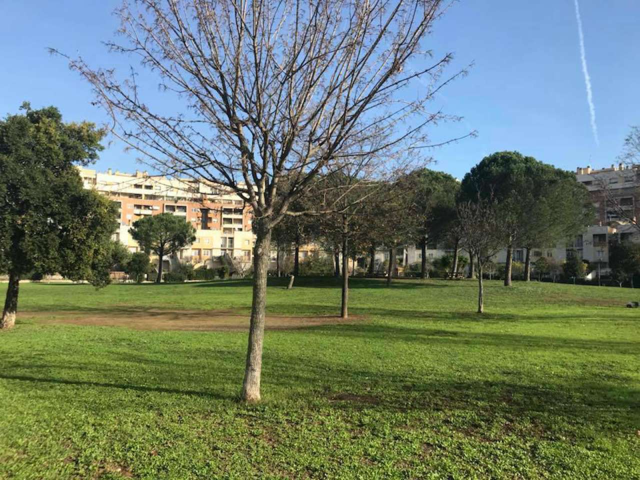 Appartamento ROMA vendita  ARDEATINO  Renato Cesarini Uno Holding
