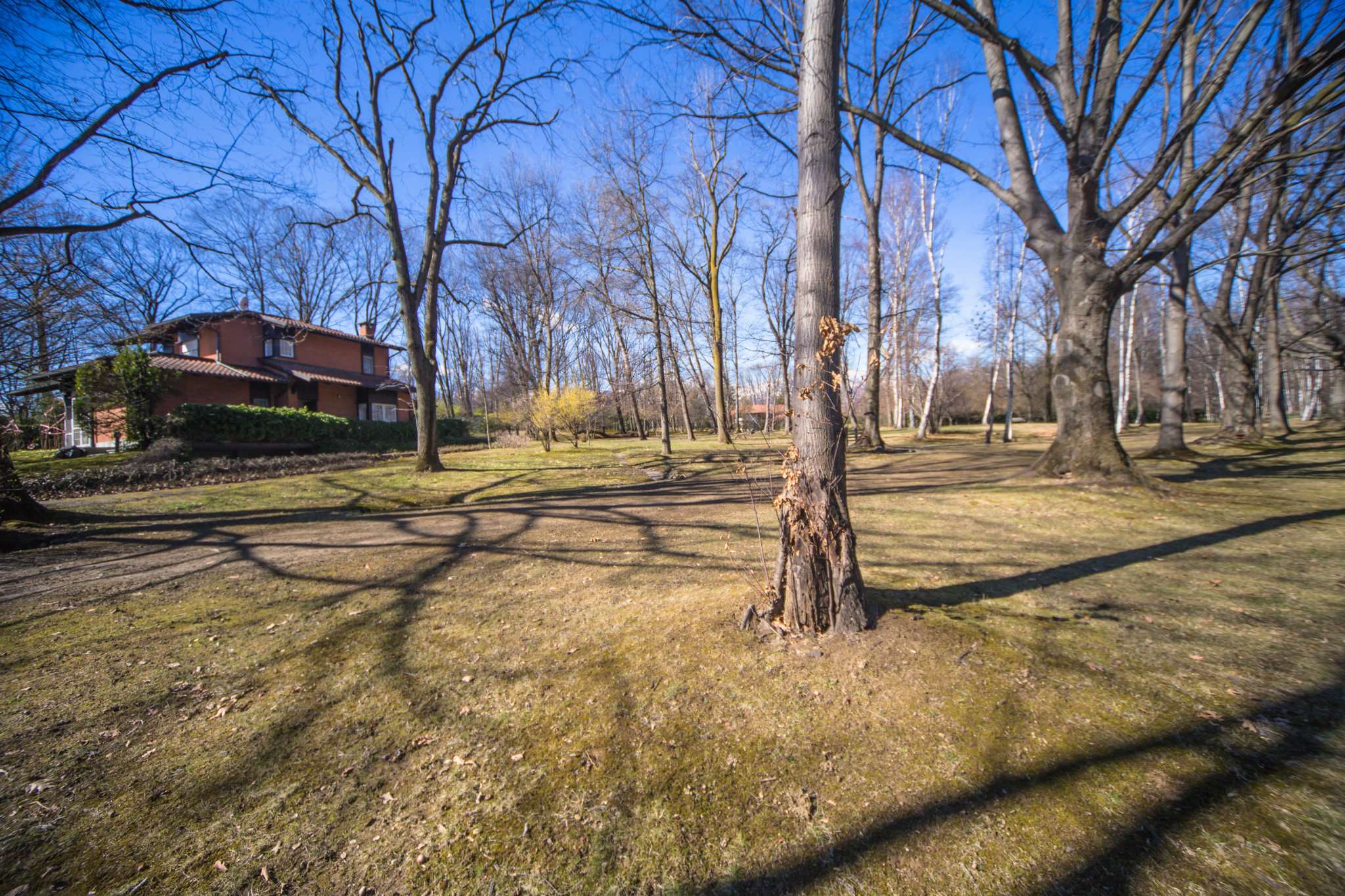 Villa Bifamiliare FIANO vendita  Parco De La Mandria Rotta Fiano Vianelli Immobili