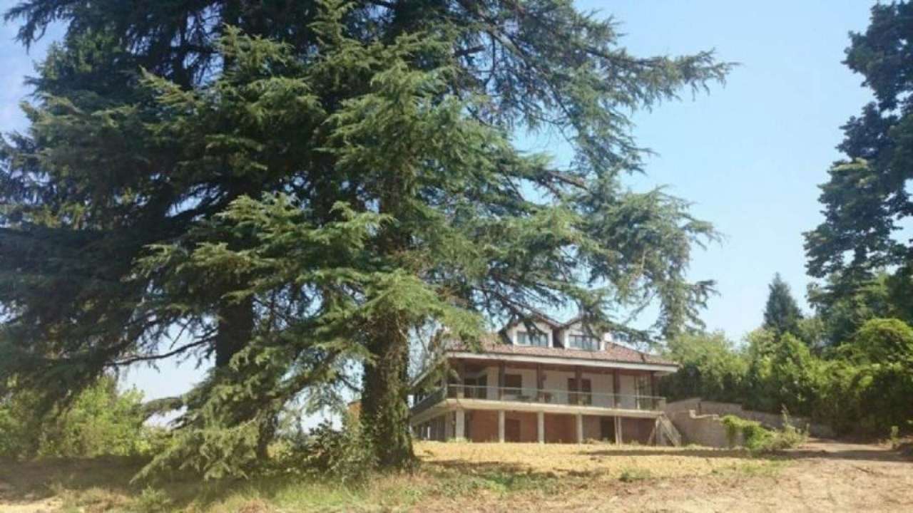 Villa Trifamiliare PIOVÀ MASSAIA vendita  Gallareto Colombaro Vianelli Immobili