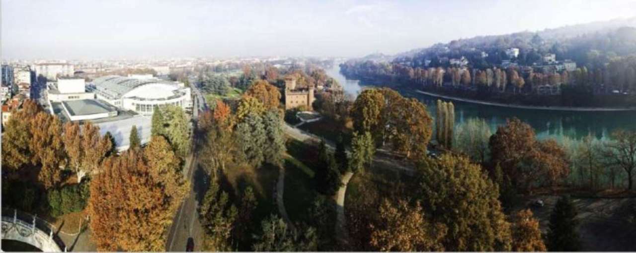 Appartamento TORINO vendita  PARCO DEL VALENTINO DANTE Vianelli Immobili