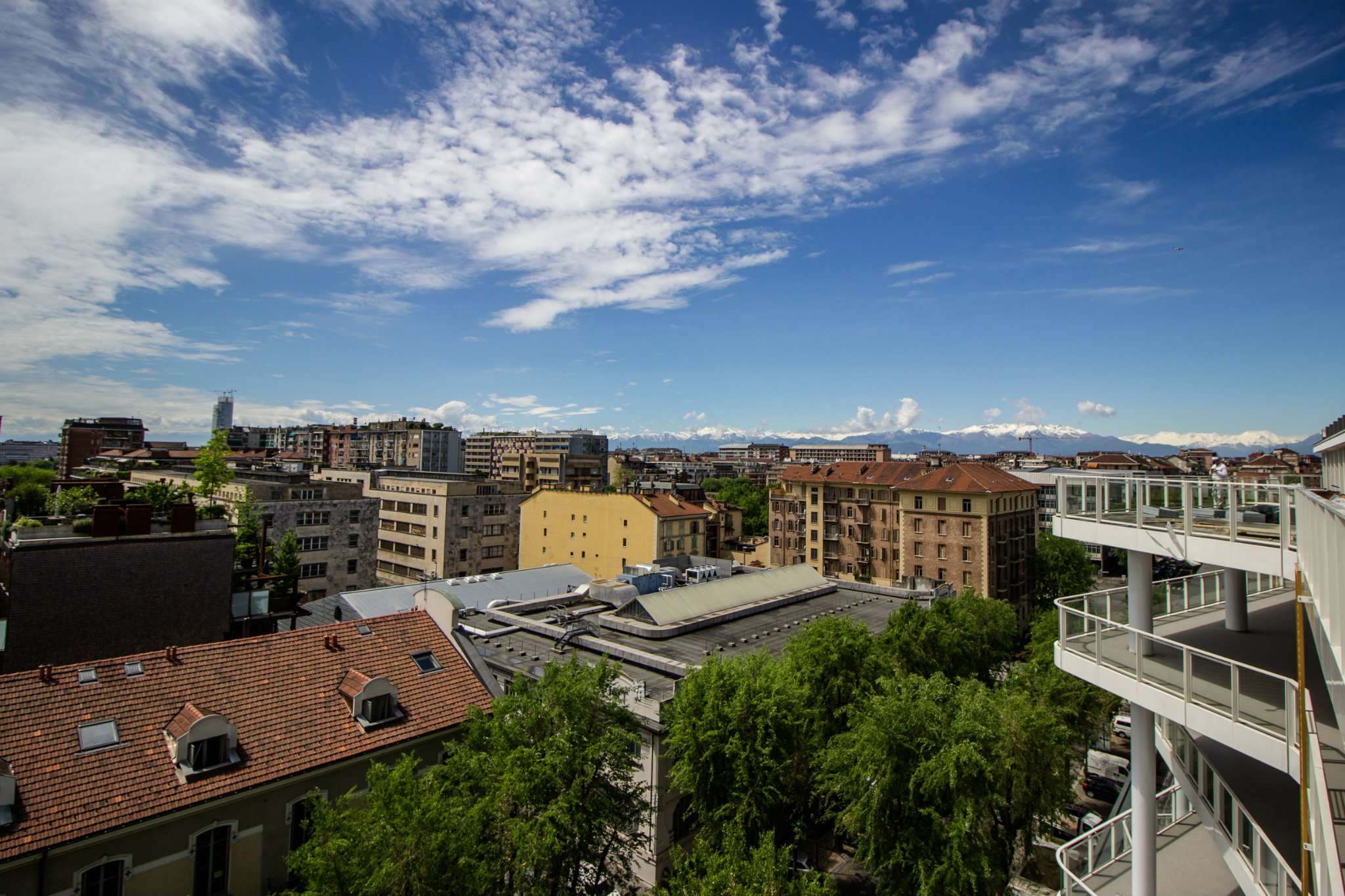 Appartamento TORINO vendita  PARCO DEL VALENTINO DANTE Vianelli Immobili