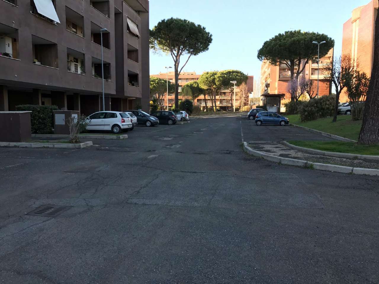 Appartamento ROMA vendita  ACILIA Alfredo Ottaviani Edilcom Immobiliare di Omar Nonni