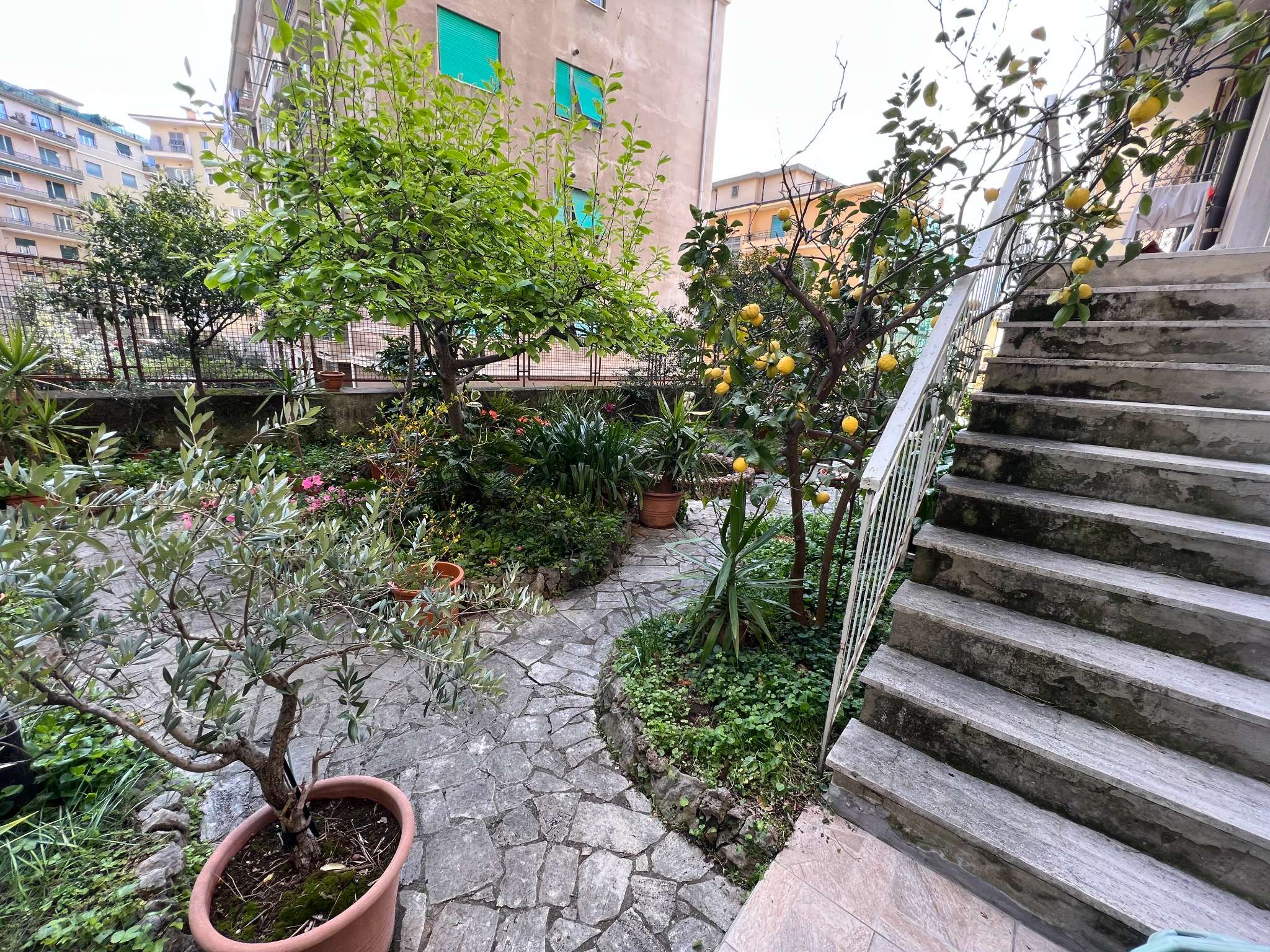 Genova Vendita APPARTAMENTO