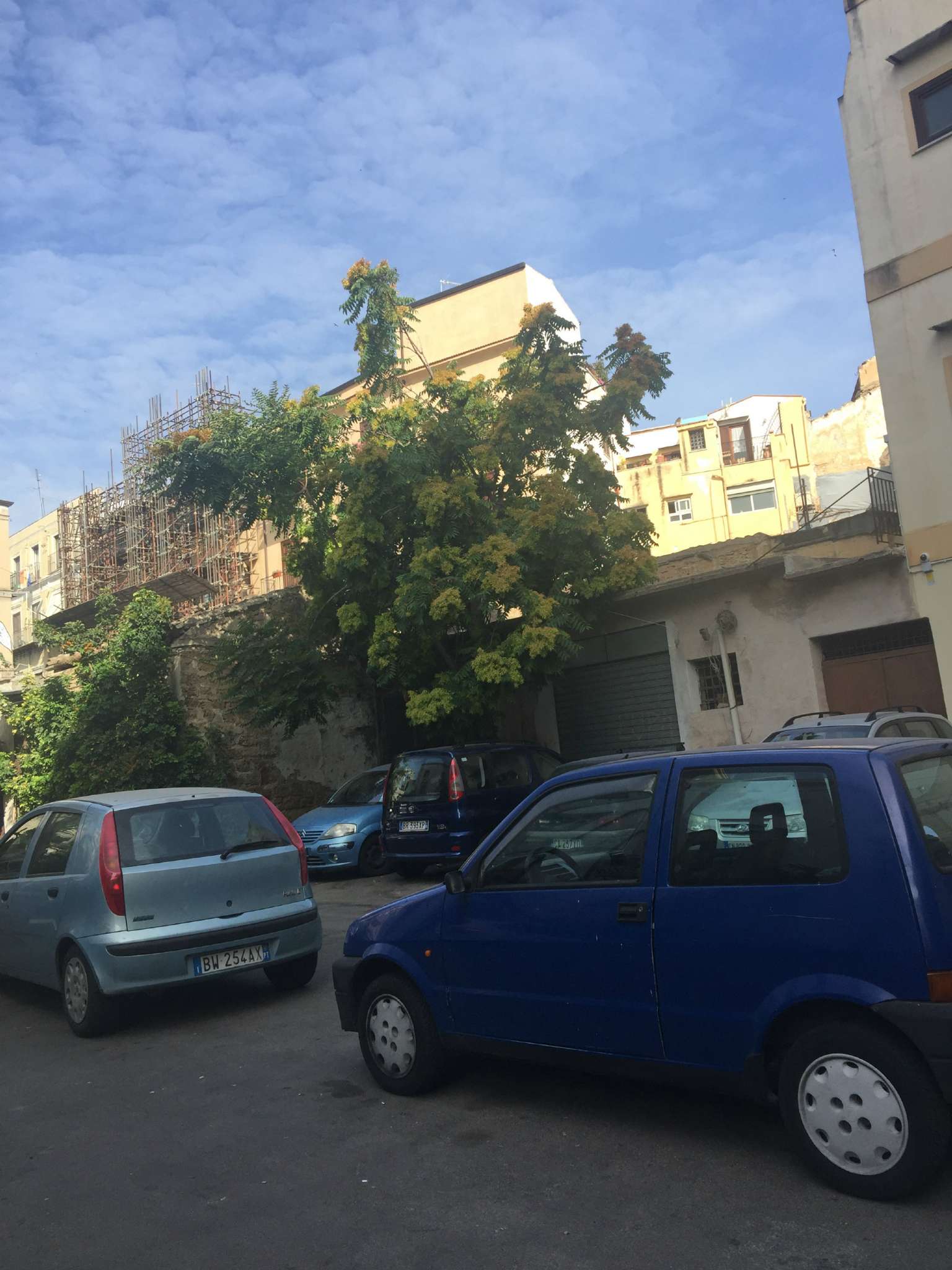 Appartamento PALERMO vendita  Centro storico piazza brunaccini HOME ITALIA