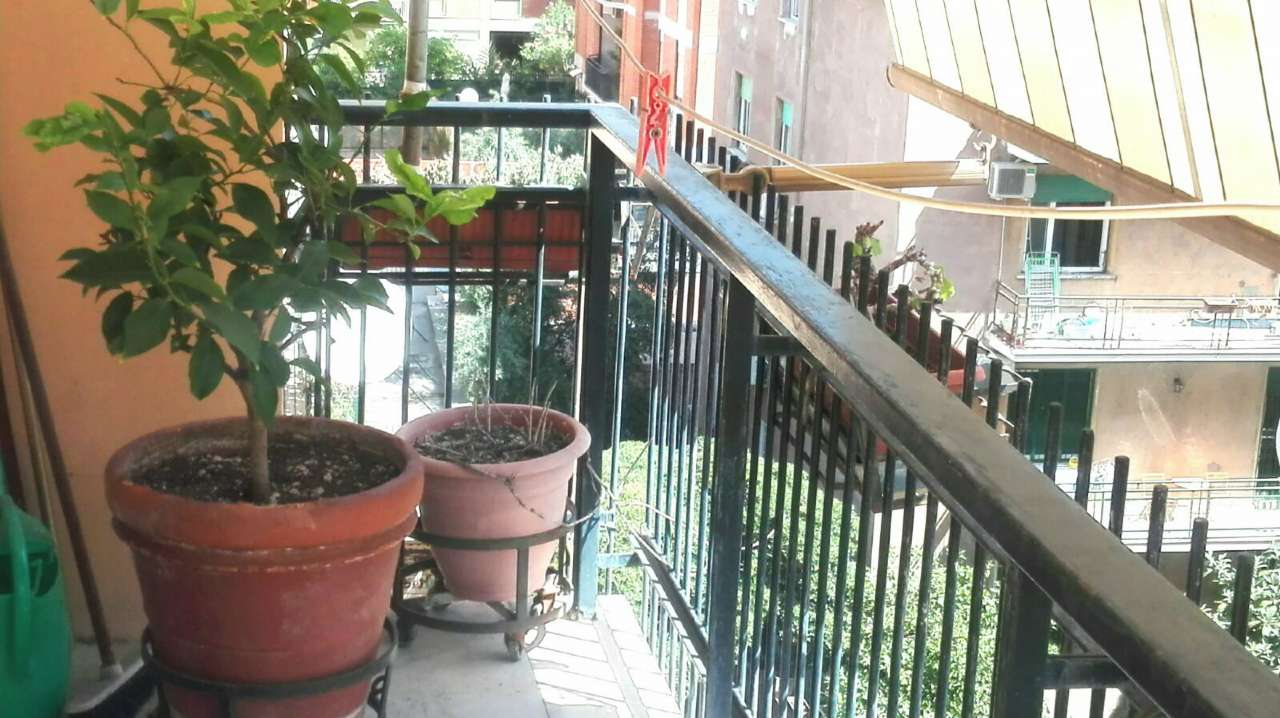 Appartamento ROMA vendita  GIANICOLENSE (XV MUN.) FALDA LATTANZI IMMOBILIARE DI ALVARO LATTANZI