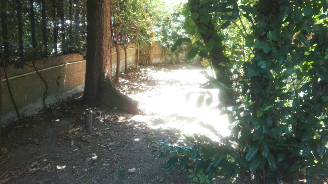 Appartamento ROMA vendita  AURELIO (XVIII MUN.) GIOVANNI VITTORIO ENGLEN LATTANZI IMMOBILIARE DI ALVARO LATTANZI