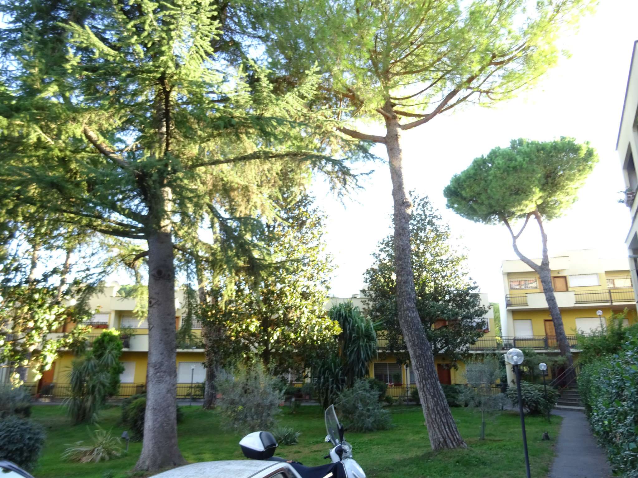 Appartamento ROMA vendita  Cassia flaminia DUE PONTI SLI immobiliare