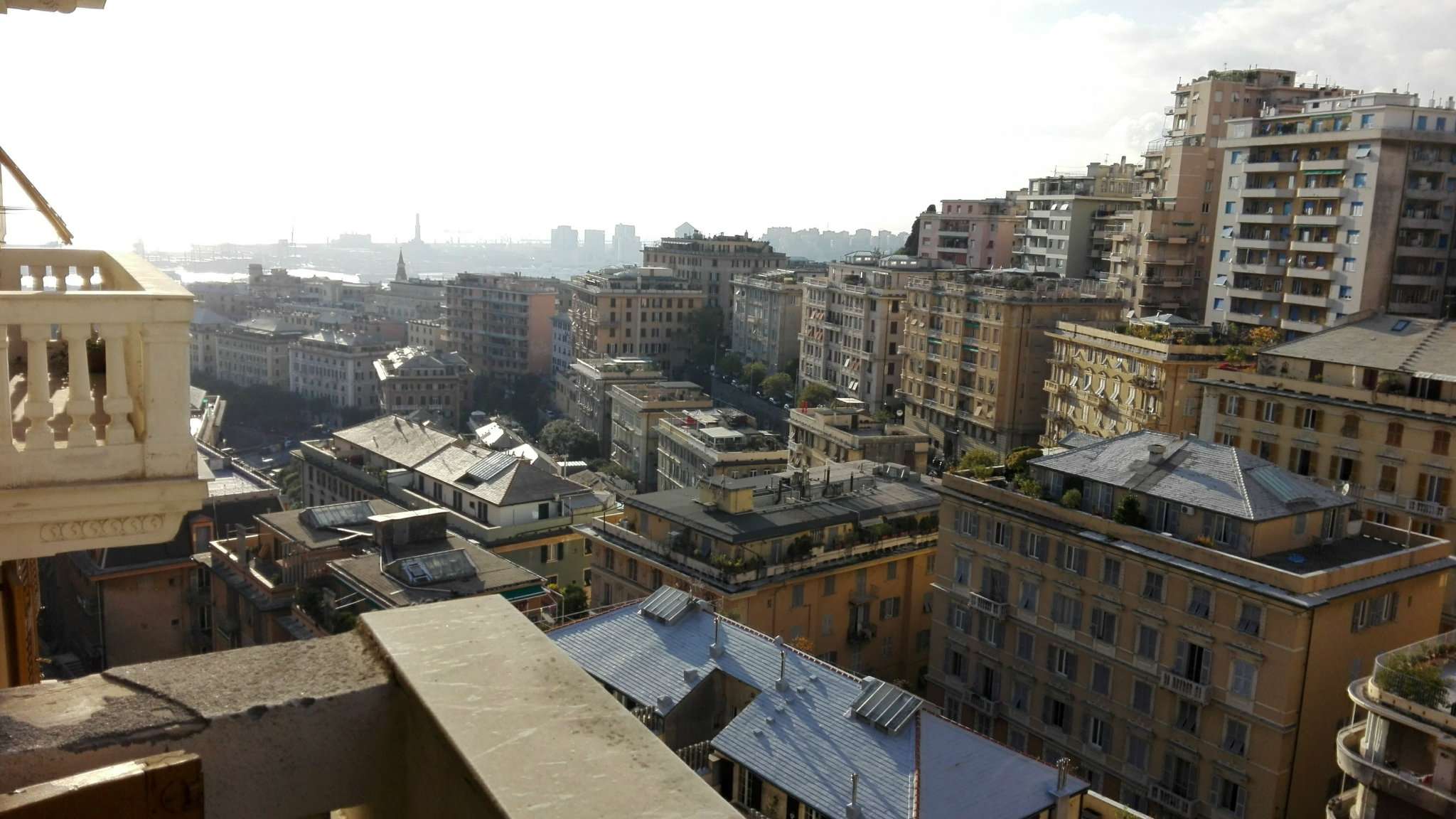  genova vendita quart: castelletto pallavicini immobiliare