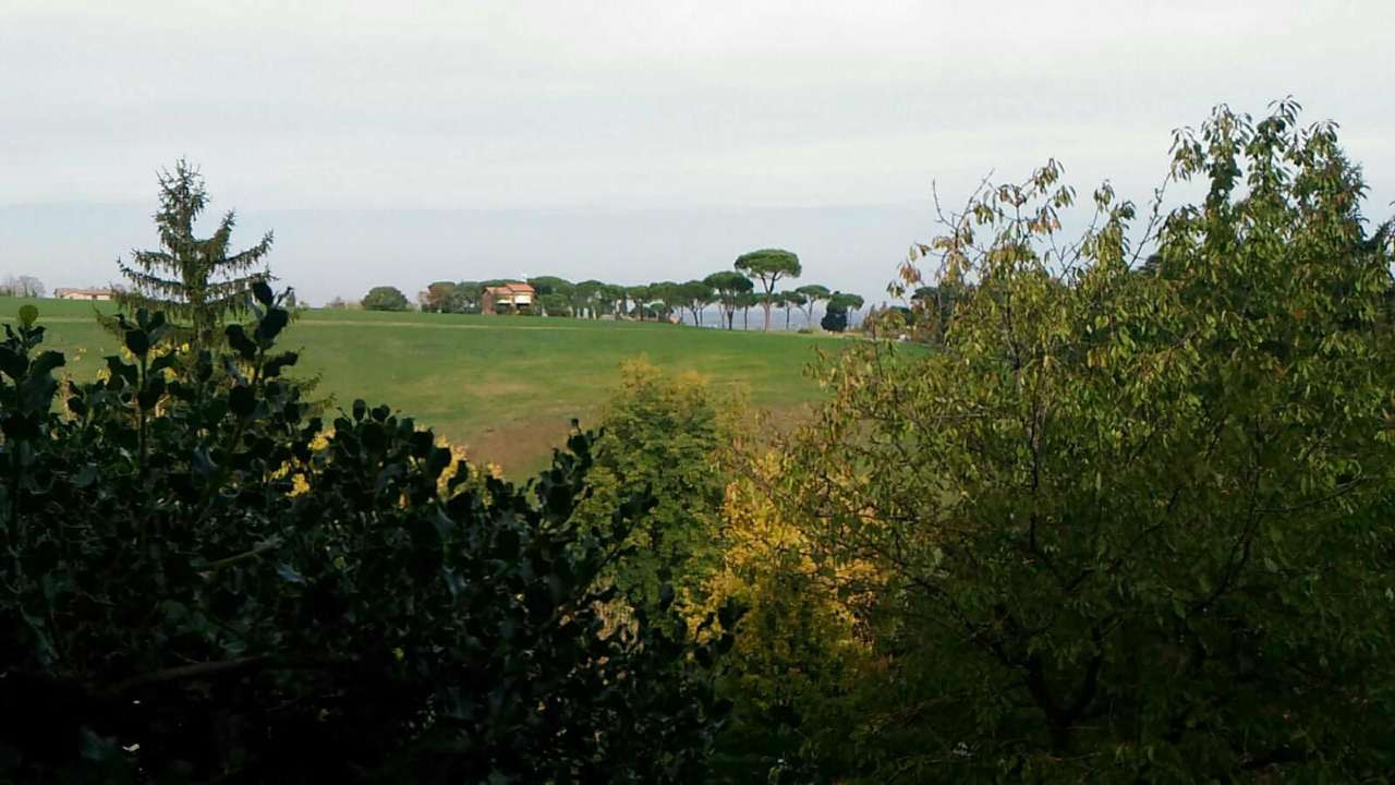 Stabile intero - Palazzo DOZZA vendita   Rocca San Luca S.r.l.