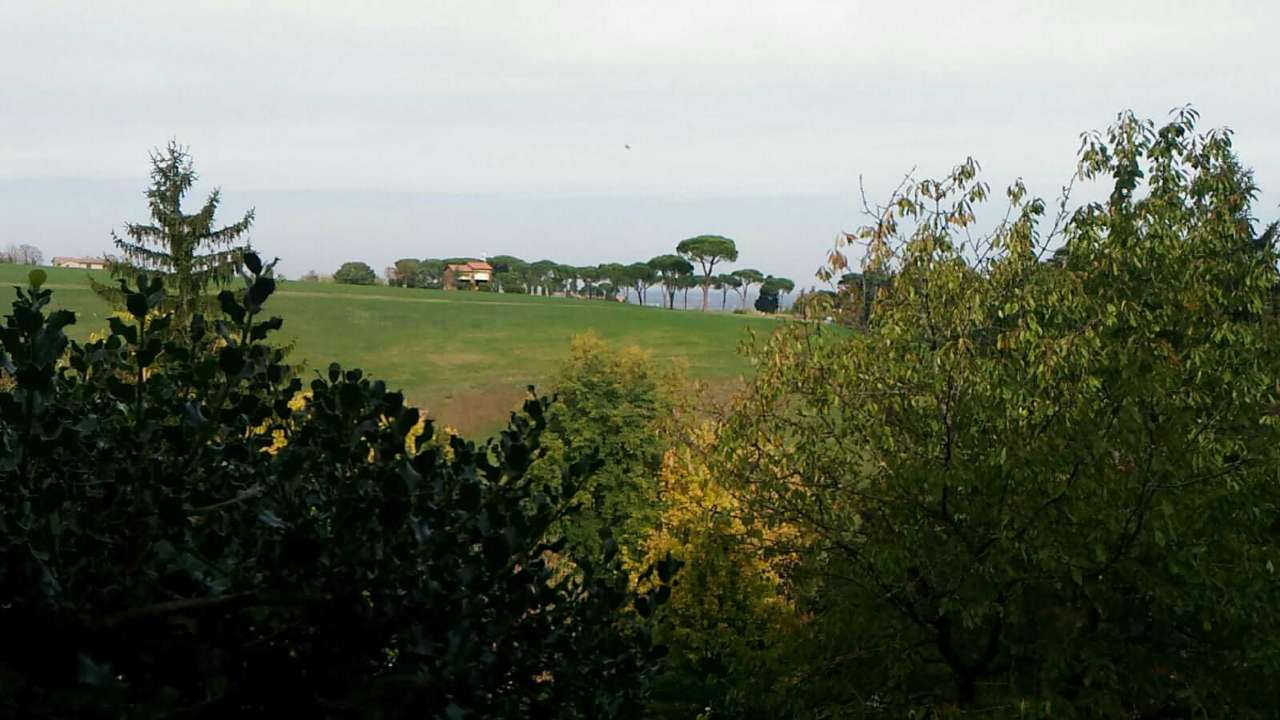 Stabile intero - Palazzo DOZZA vendita   Rocca San Luca S.r.l.