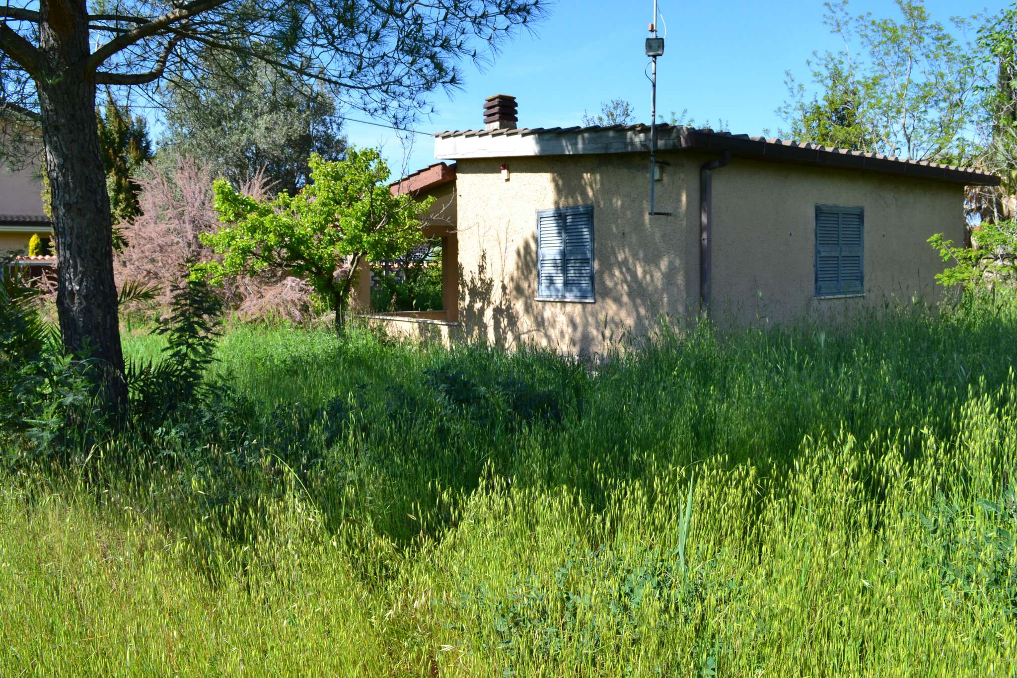  roma vendita quart: acilia immobiliare-cannavale