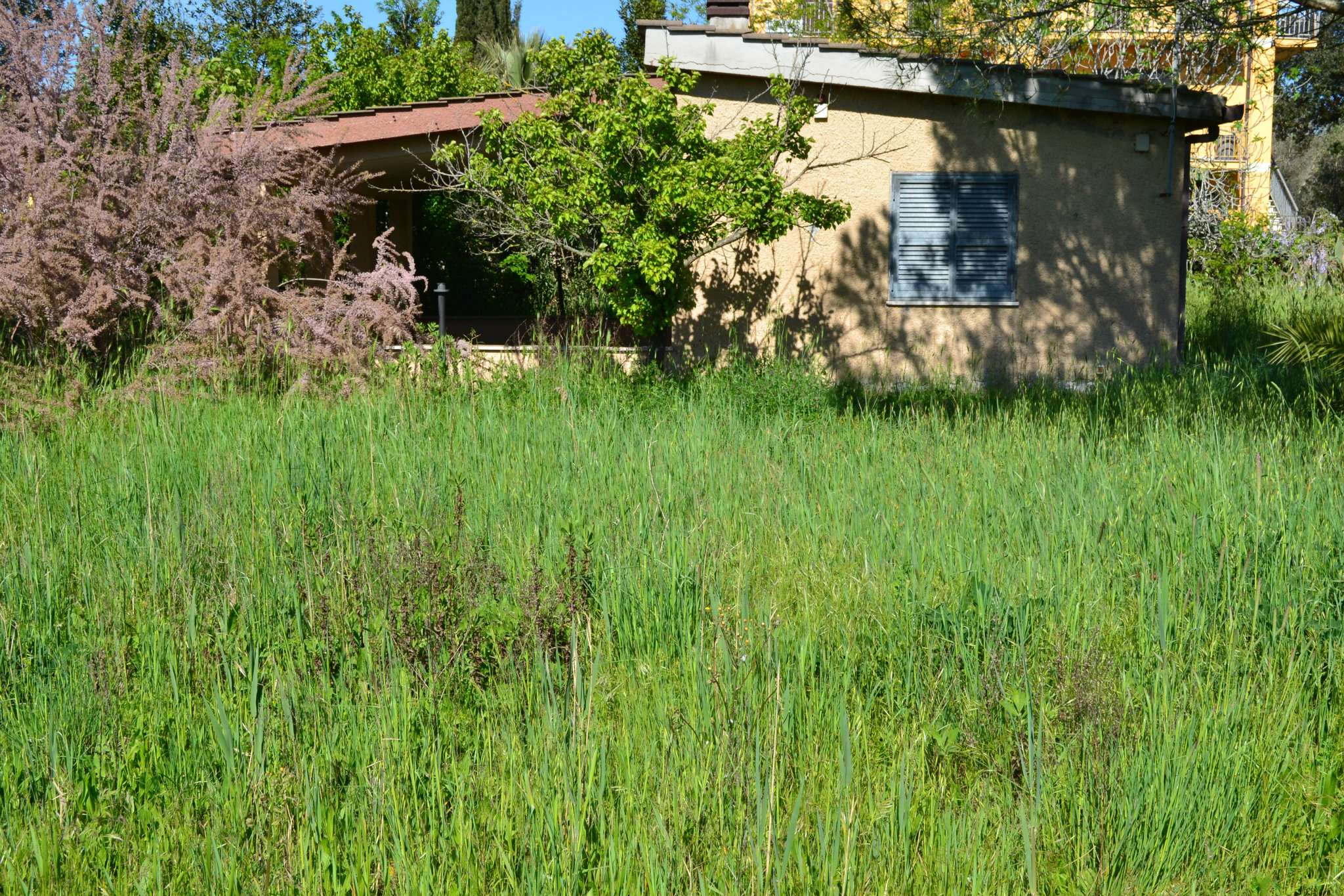 Villa Trifamiliare ROMA vendita  ACILIA Via Enrico Josi Immobiliare Cannavale