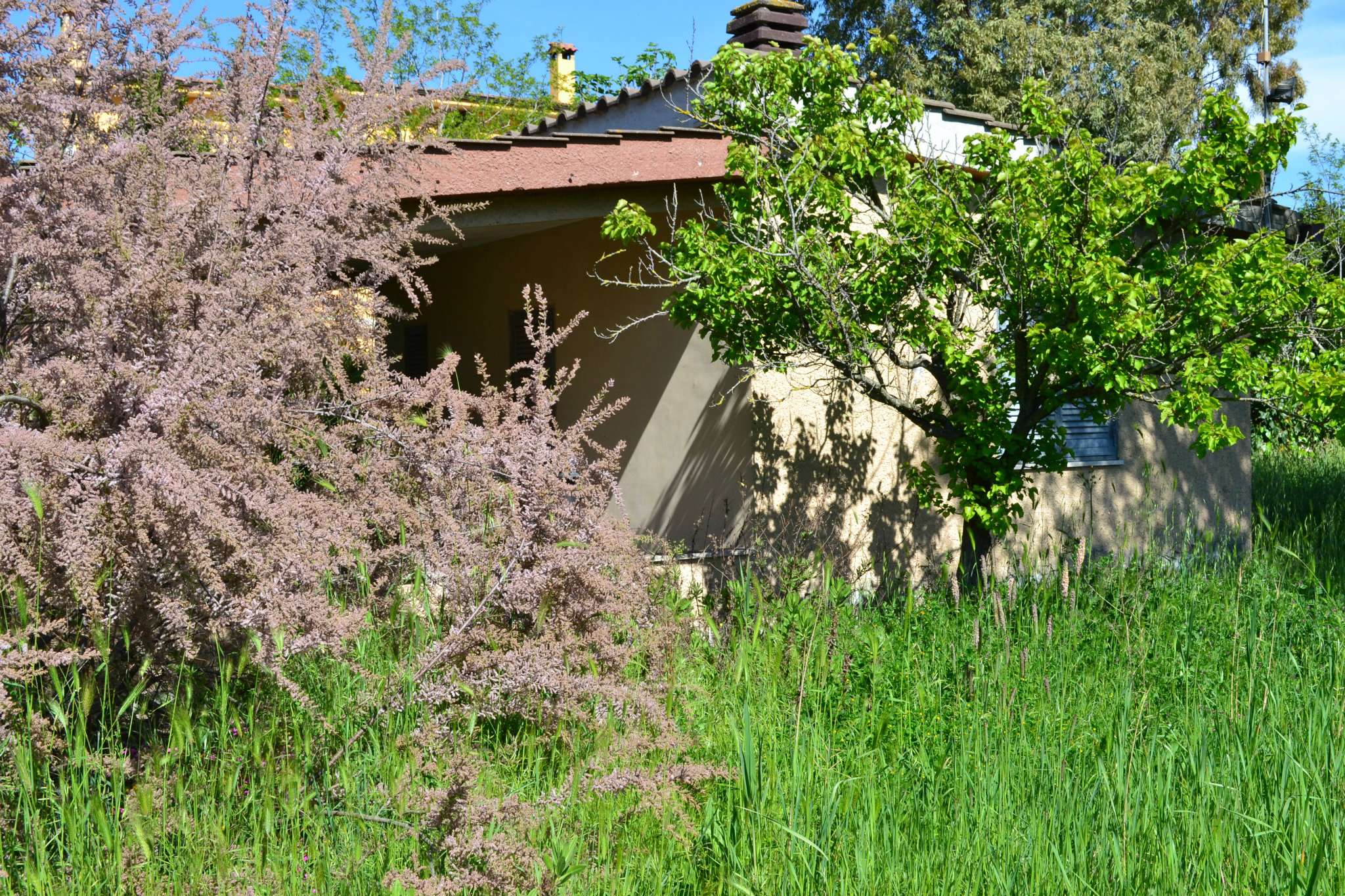 Villa Trifamiliare ROMA vendita  ACILIA Via Enrico Josi Immobiliare Cannavale