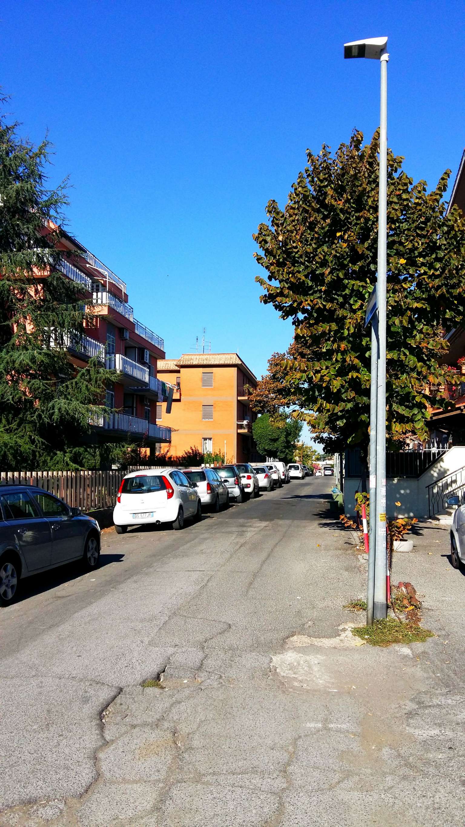  roma vendita quart: finocchio immobiliare cannavale