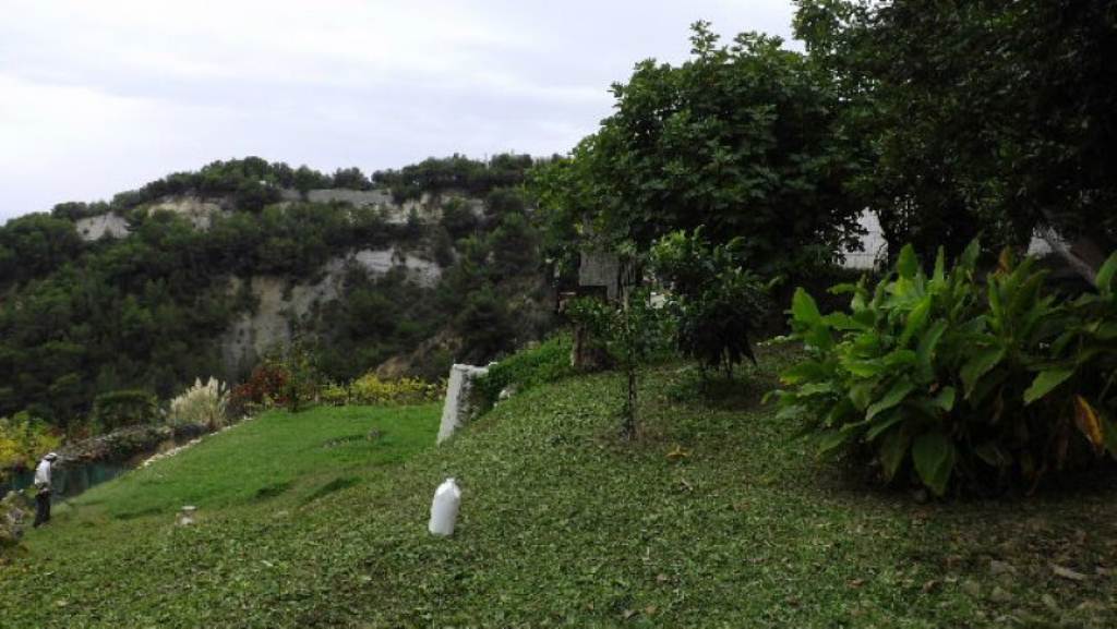 Villa VENTIMIGLIA vendita    Immononne