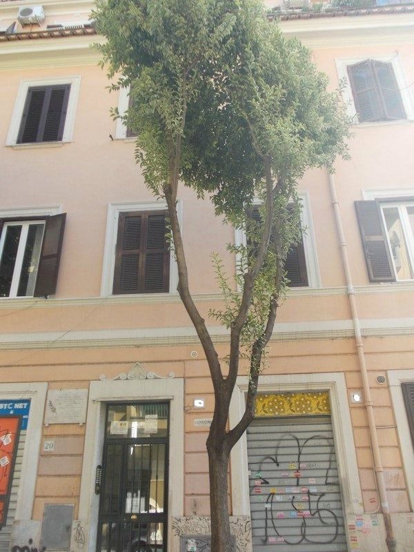  roma vendita quart: pigneto club-casa-srl