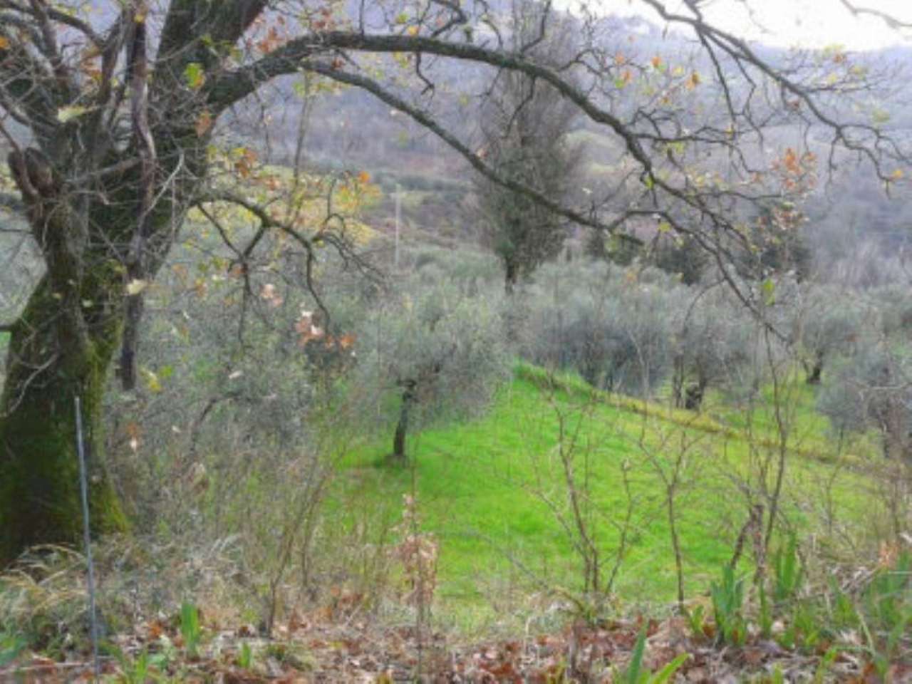 Appartamento MONTESPERTOLI affitto   STICCIANO San Casciano Val di Pesa