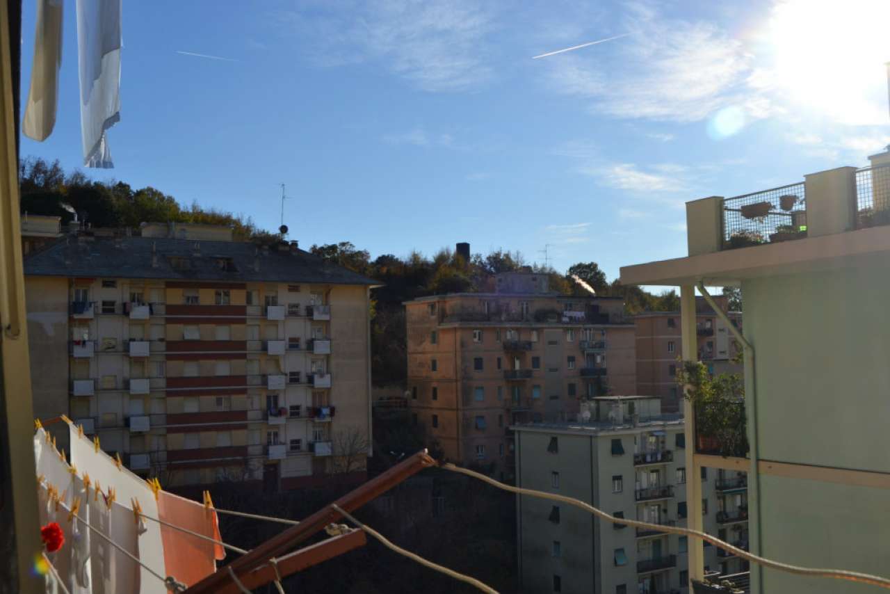 Appartamento GENOVA vendita  SAN FRUTTUOSO BERGHINI IL NIDO SNC