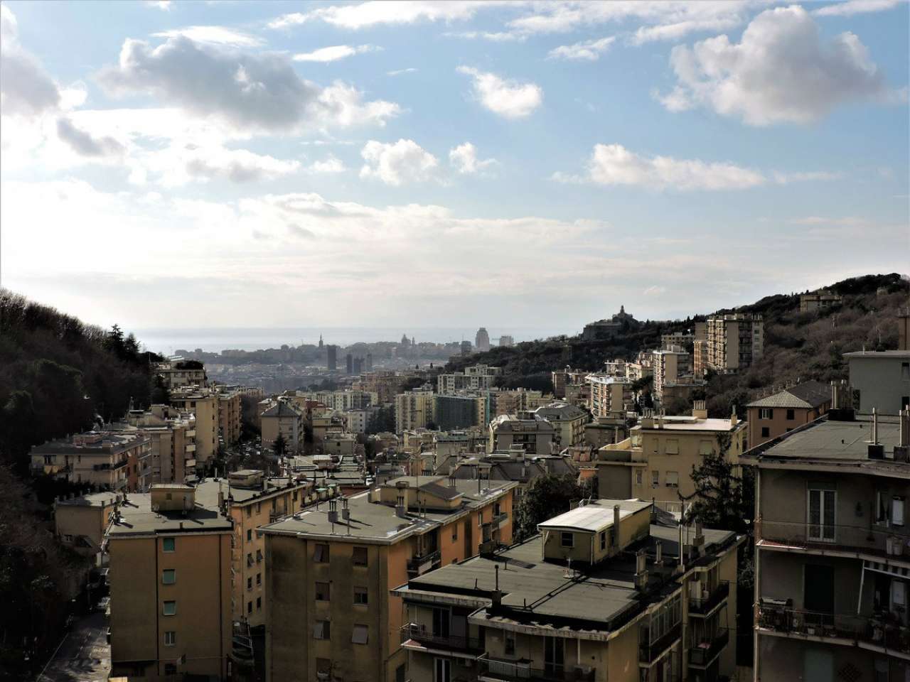 Appartamento GENOVA vendita  SAN FRUTTUOSO Berghini S.I.T. Studio Immobiliare