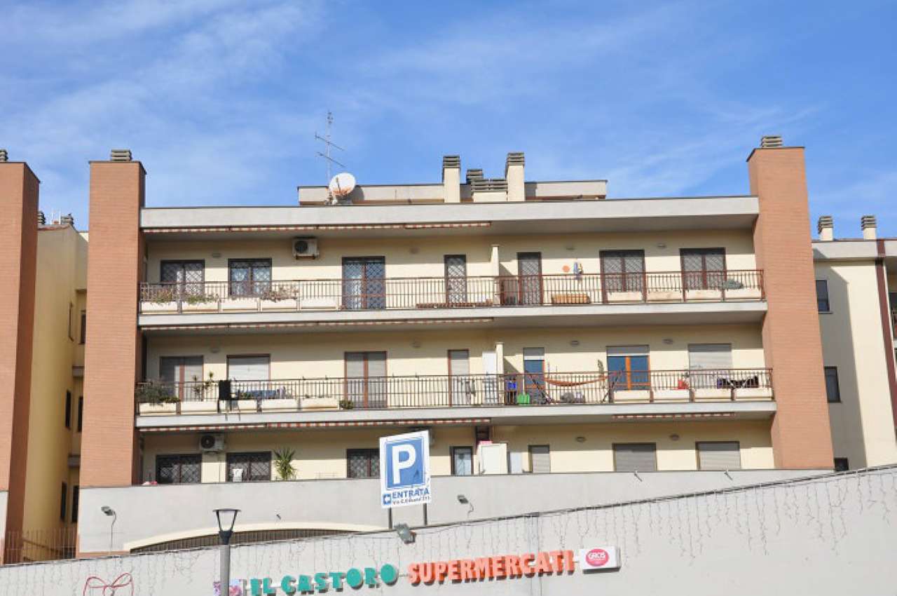 Appartamento ROMA vendita  LIDO DI OSTIA LEVANTE Costanzo Casana Lidense Immobiliare Snc