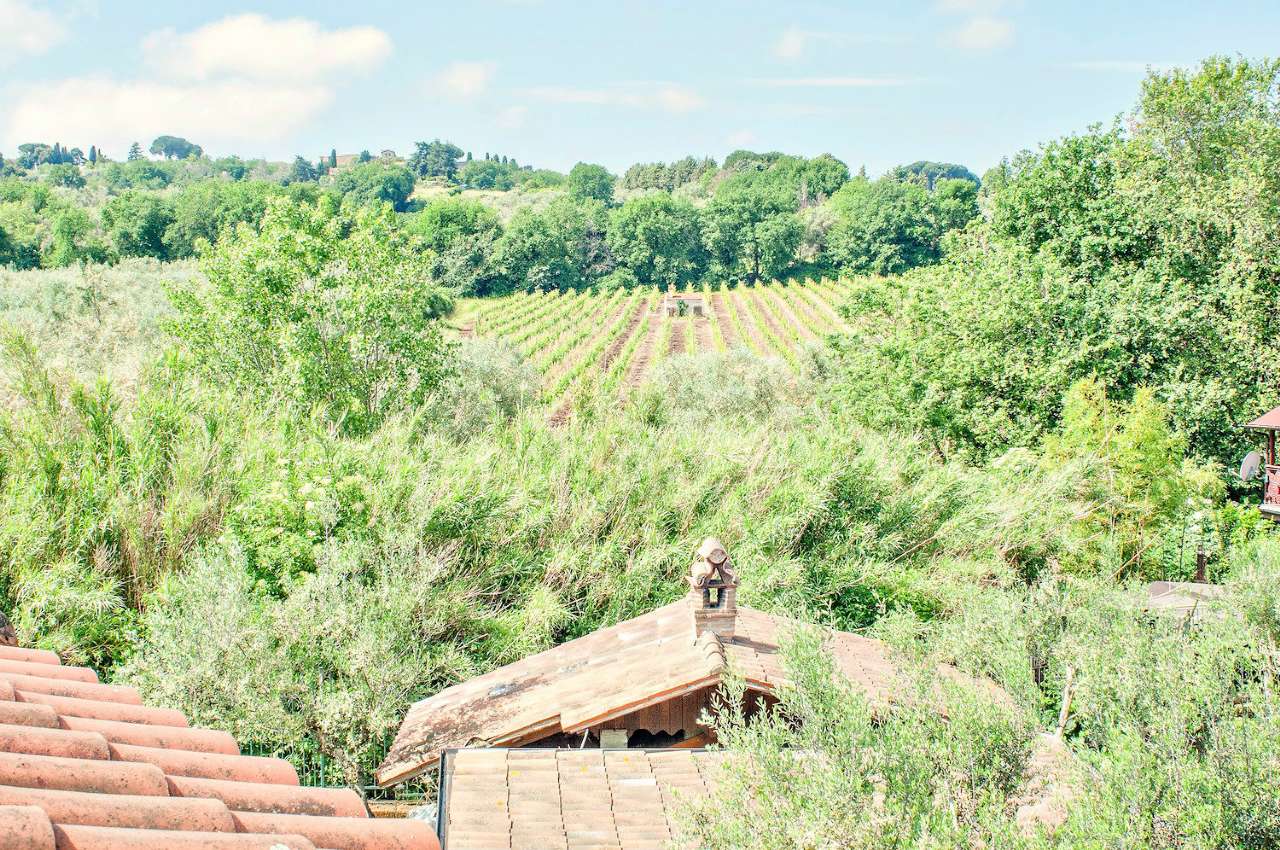 Villa Bifamiliare FRASCATI vendita   FONTANILE DEL PISCARO Logica Immobiliare