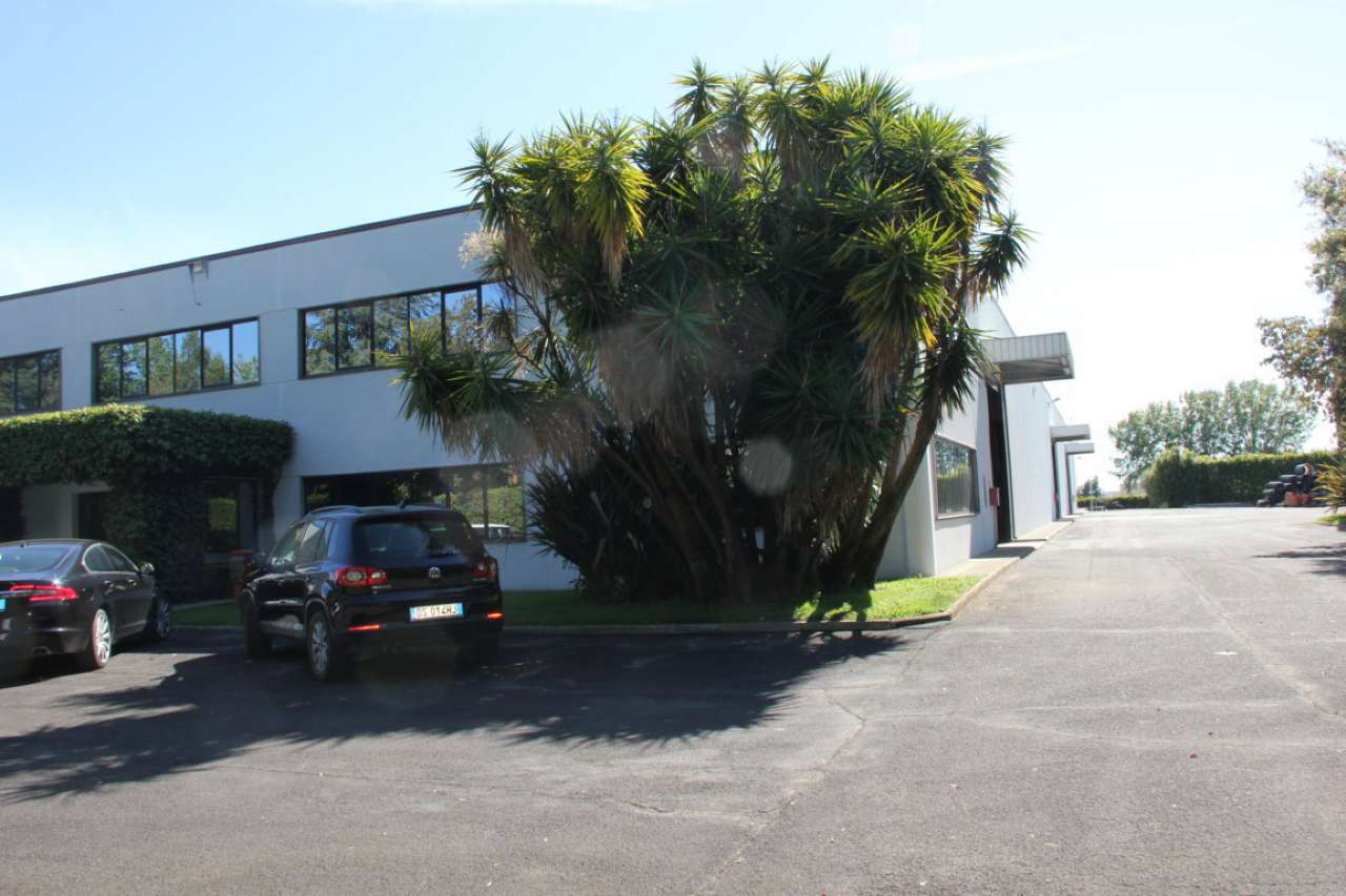 Capannoni (Tutti) ROMA affitto  ARDEATINO  ardeatina Logica Immobiliare