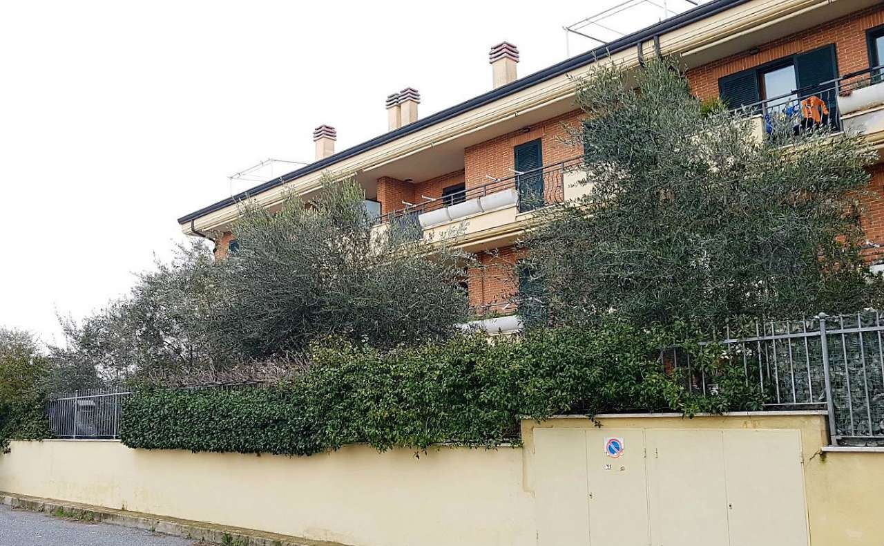 Attico CIAMPINO affitto   DELL'OSPEDALETTO Logica Immobiliare