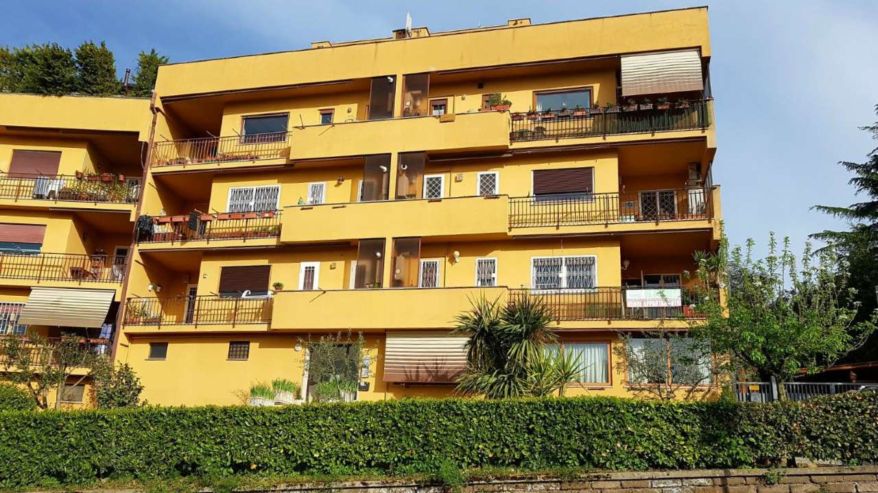 Appartamento GROTTAFERRATA vendita   vecchia di marino Logica Immobiliare