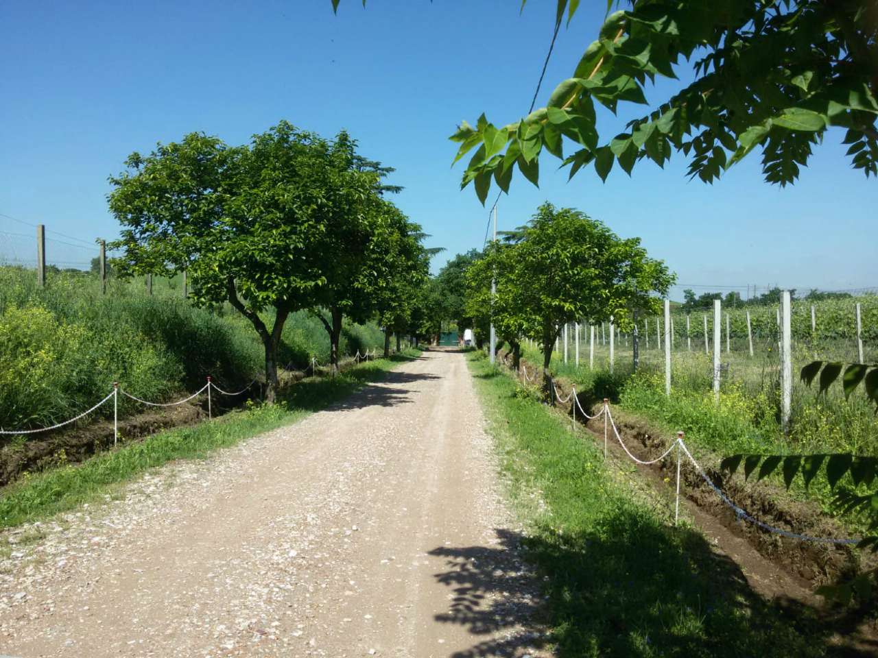 Villa Bifamiliare ROMA affitto  ARDEATINO  ardeatina Logica Immobiliare