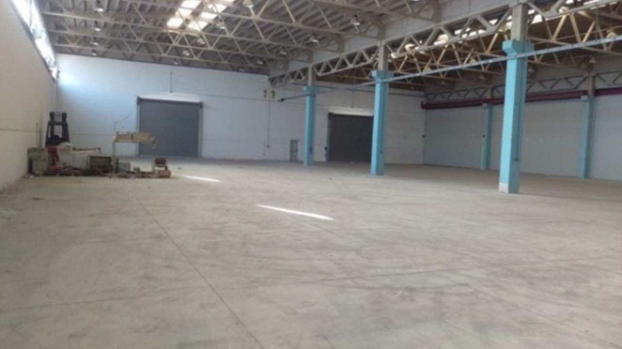 Capannone in Affitto