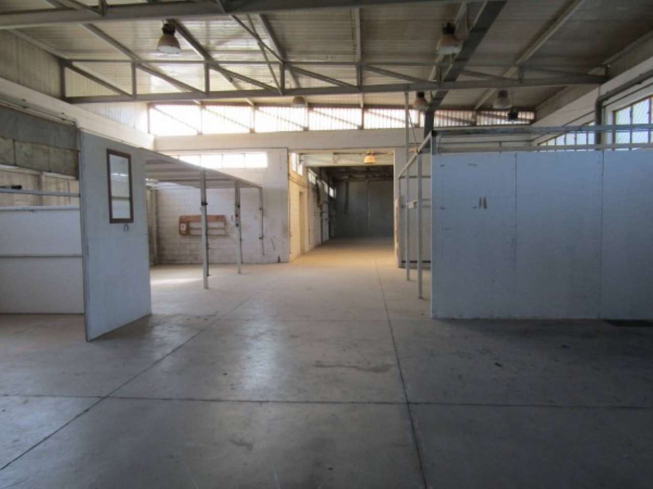 Capannone in Affitto