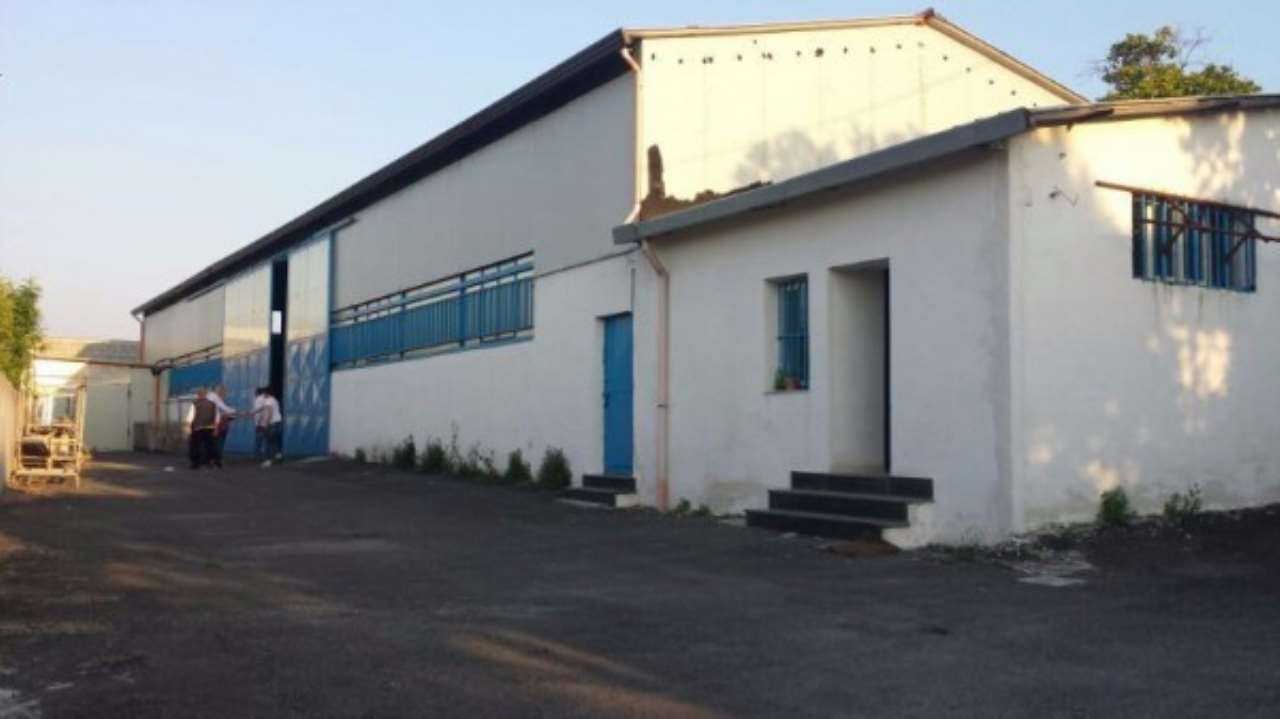Capannone in Affitto