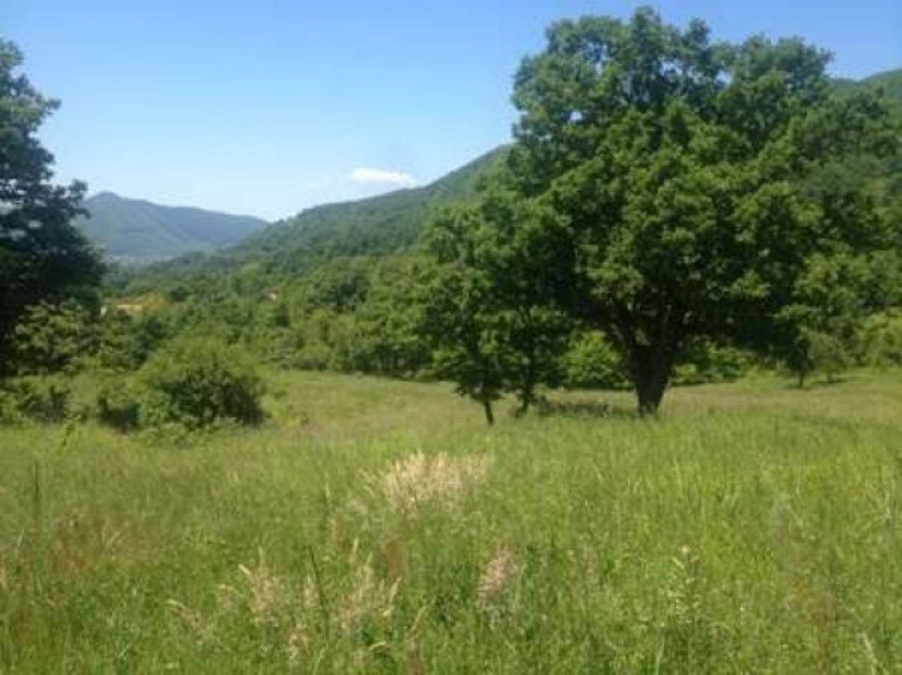 Montemarano Vendita ATTIVITA' COMMERICIALI