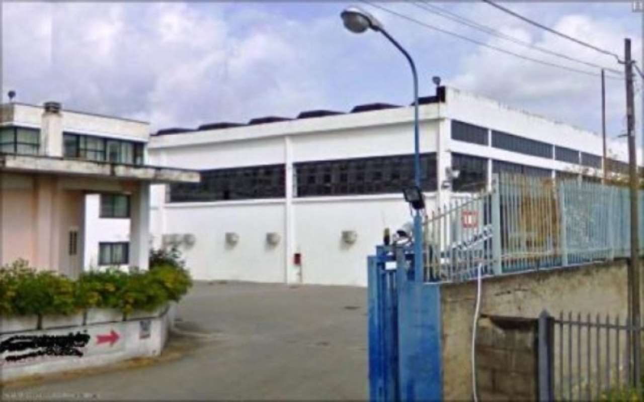 Capannone in Affitto