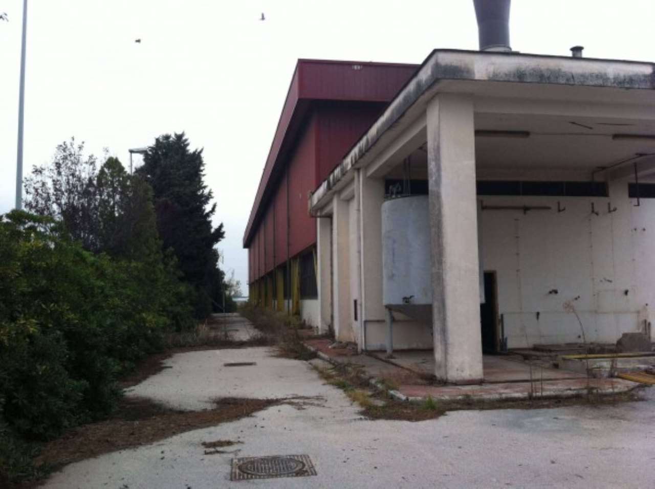 Capannone in Vendita