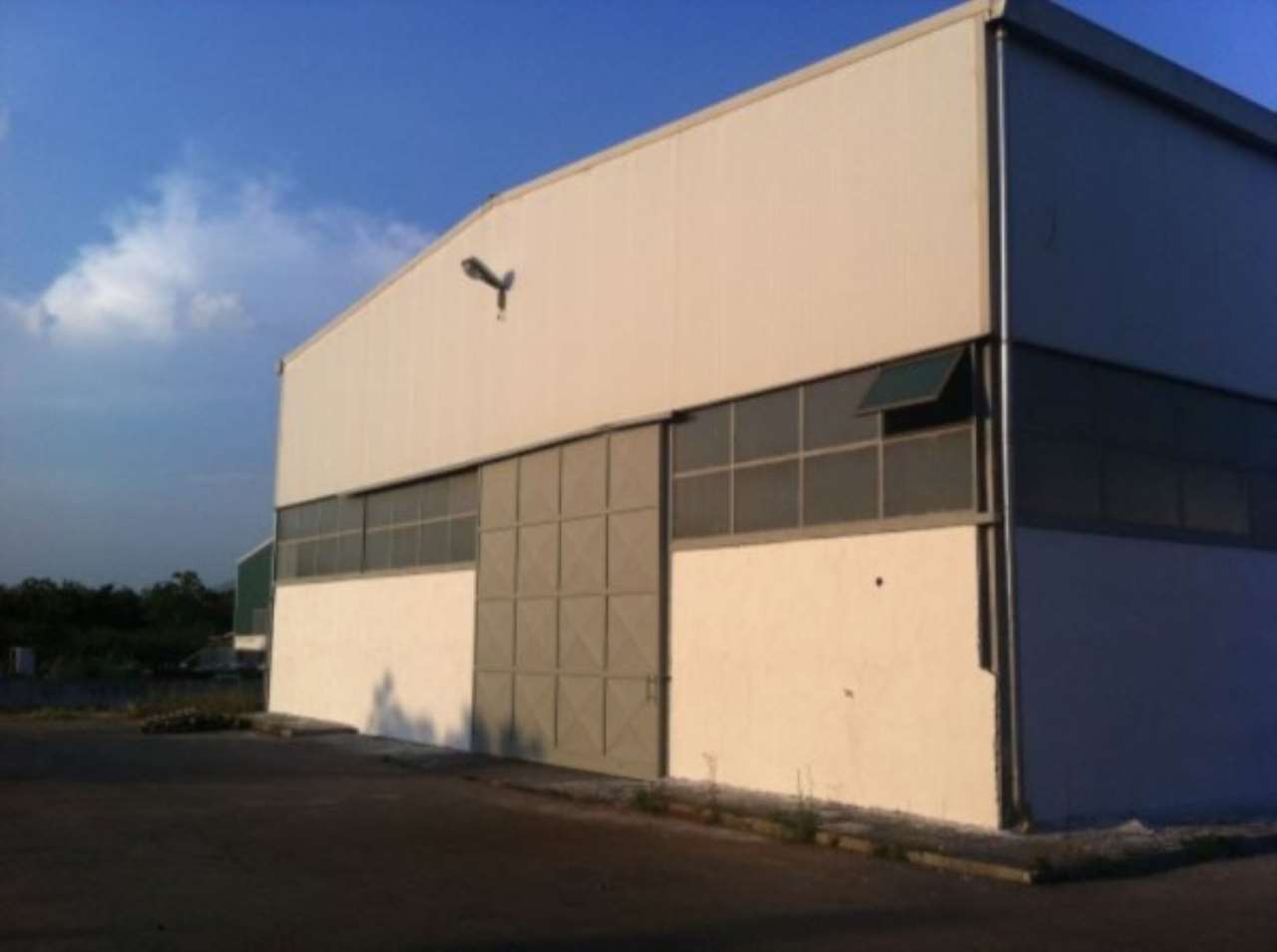 Capannone in Affitto