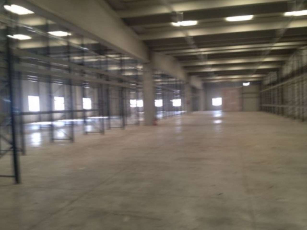 Capannone in Affitto