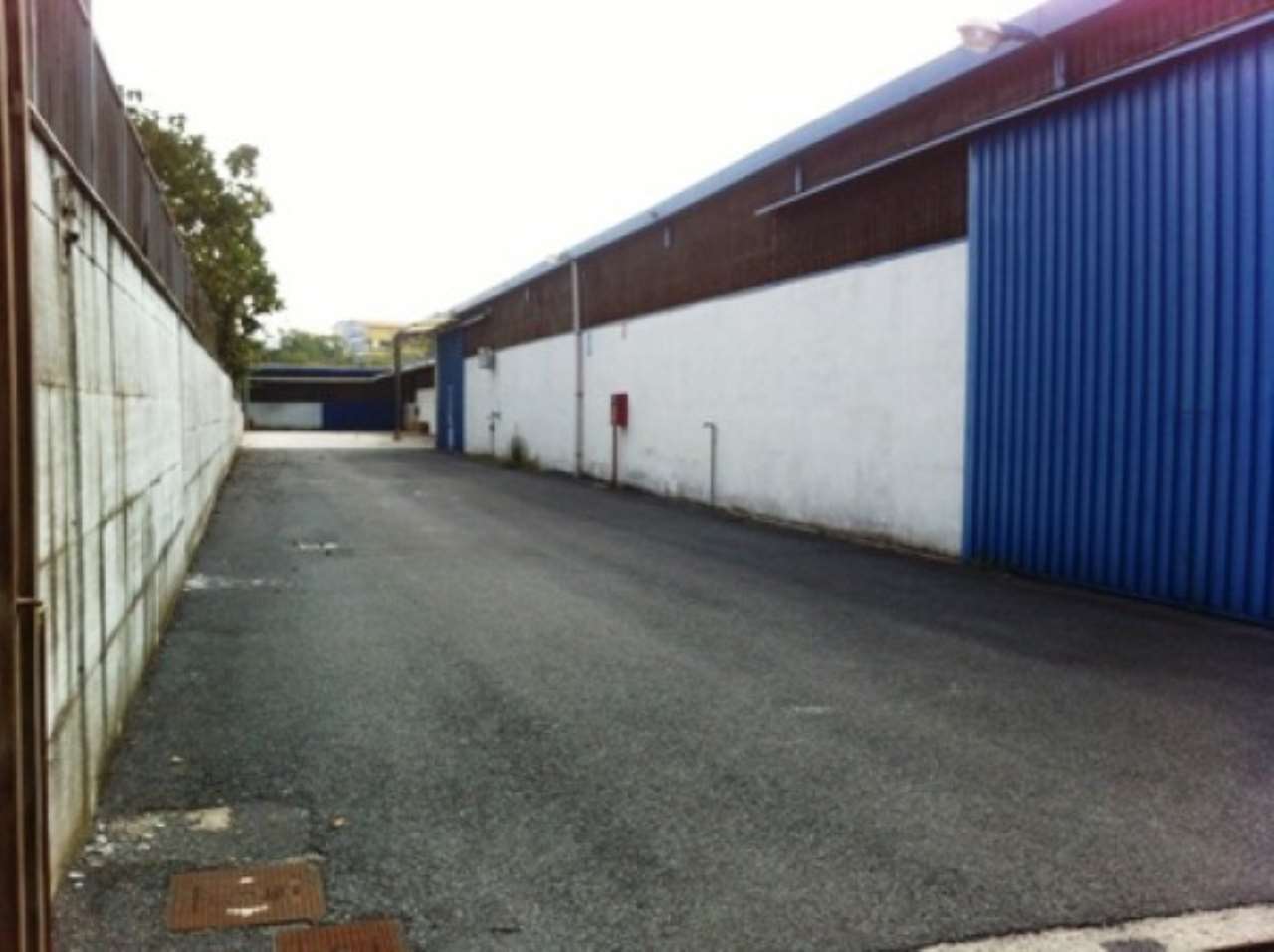 Capannone in Affitto