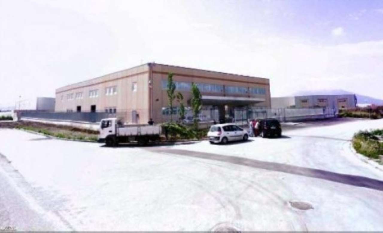 Capannone in Affitto