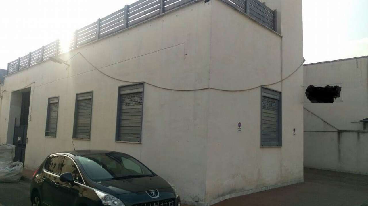 Capannone in Affitto