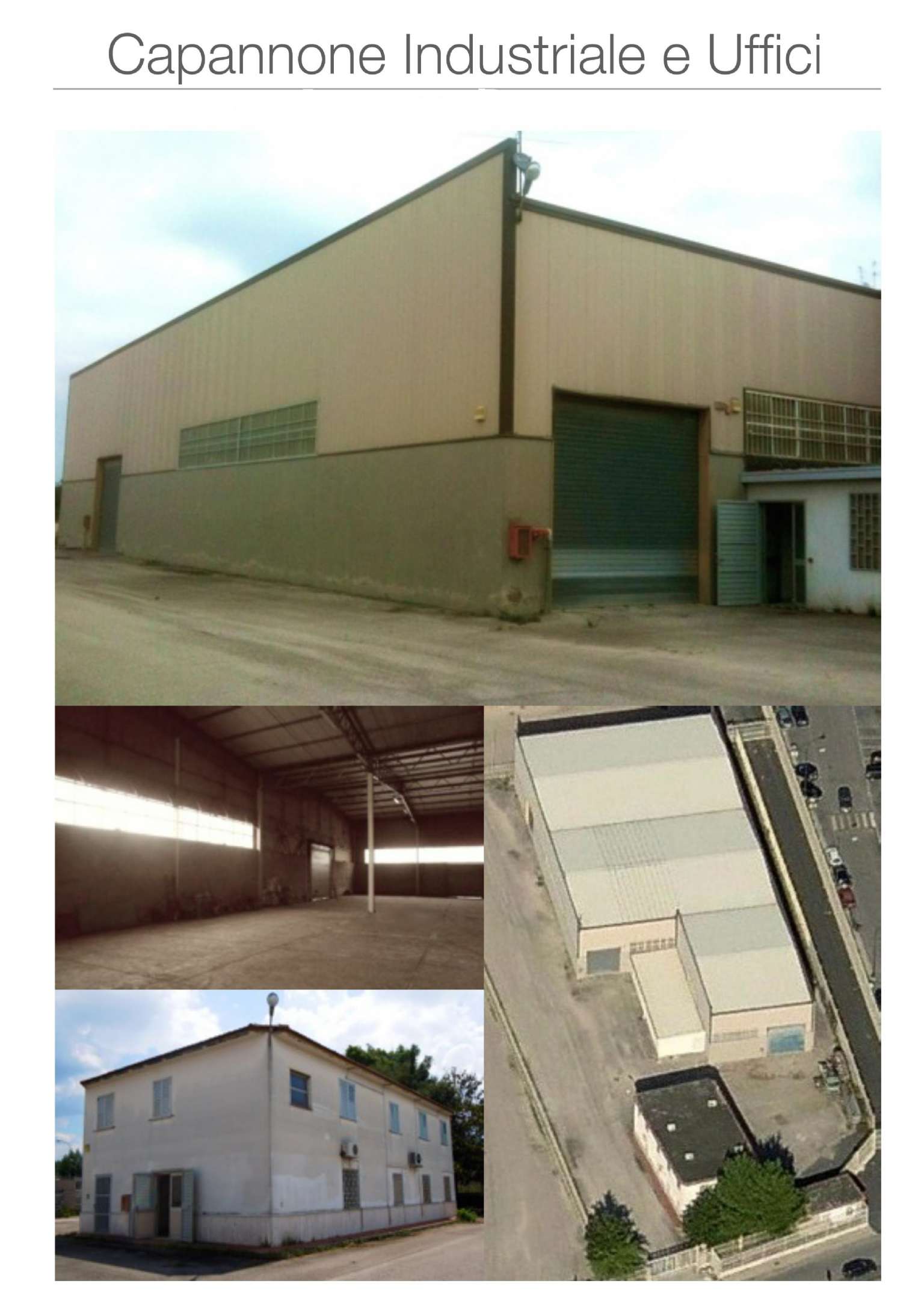 Capannone in Affitto