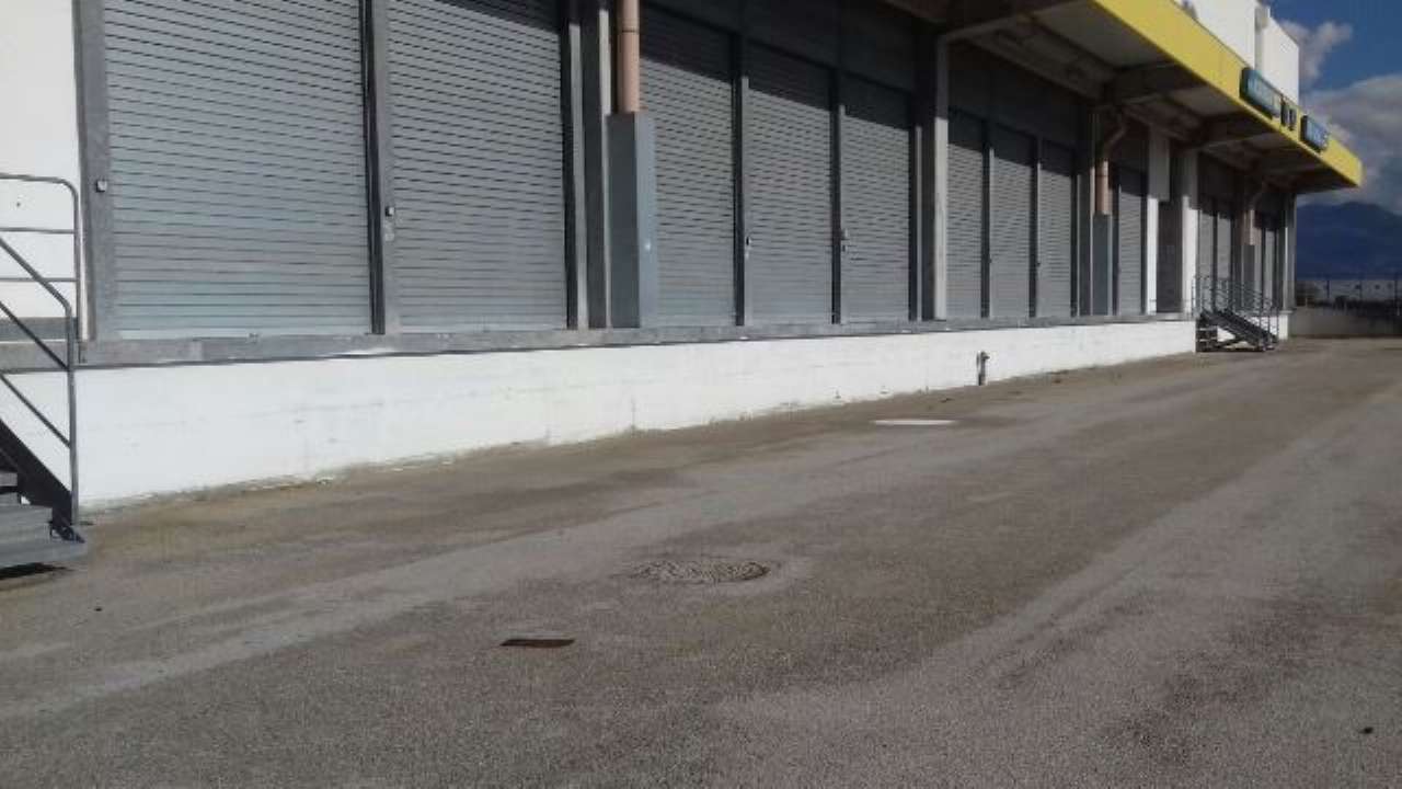 Capannone in Vendita