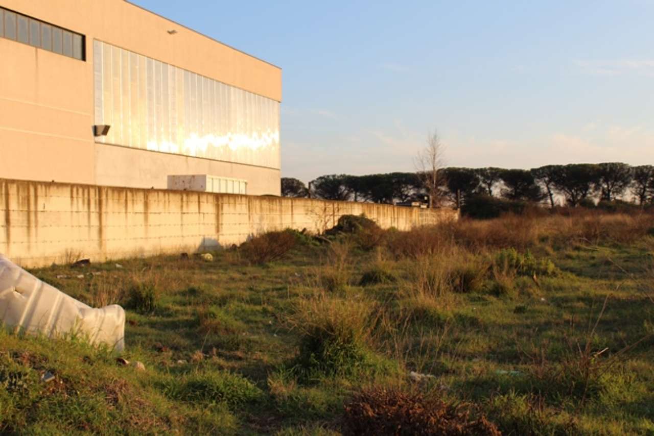 Capannone in Vendita