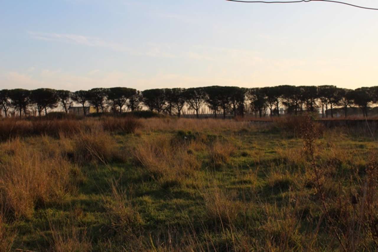 Capannone in Vendita